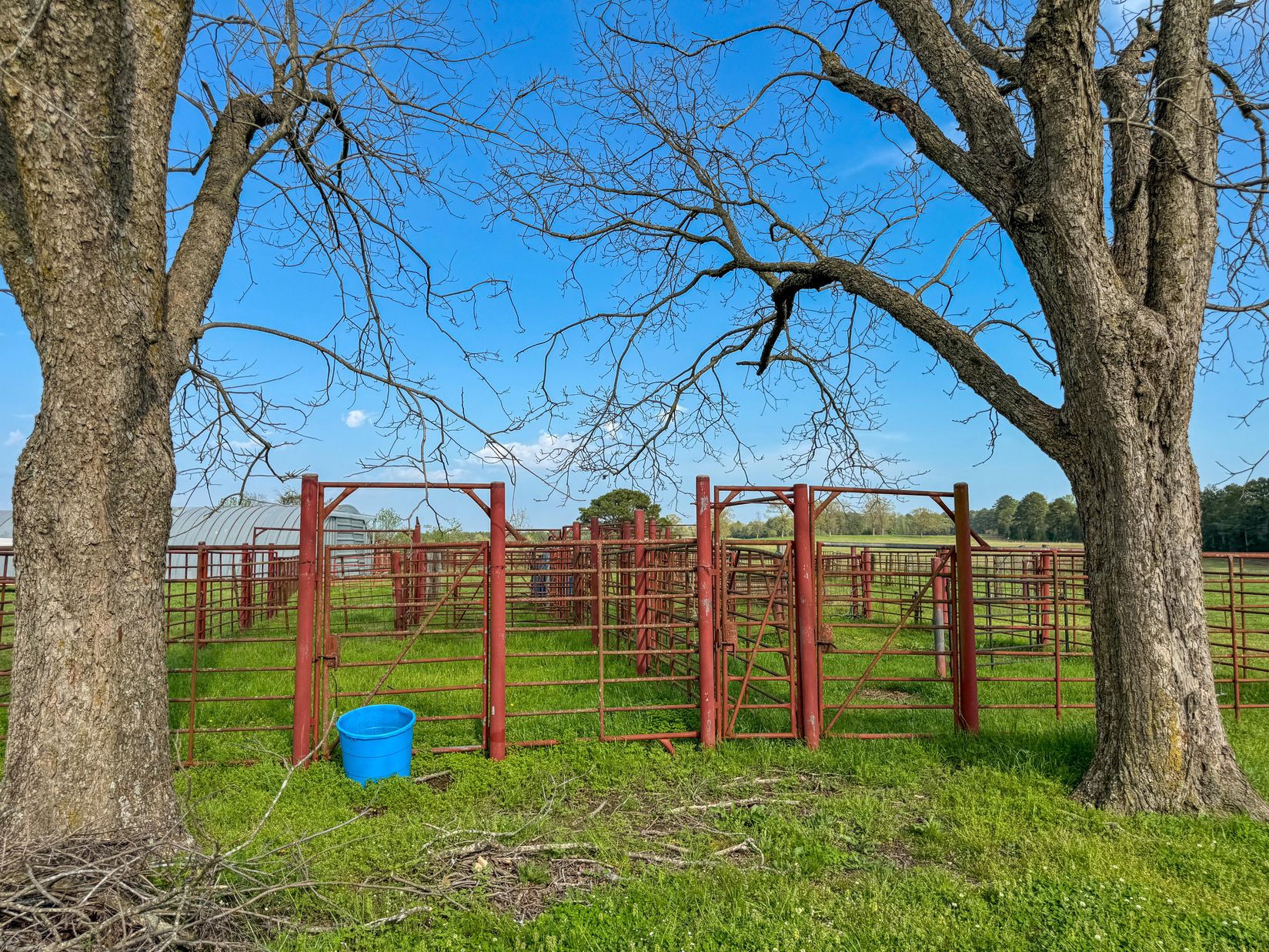 Bivins, Texas, 75555, United States, ,Residential,For Sale,1755933