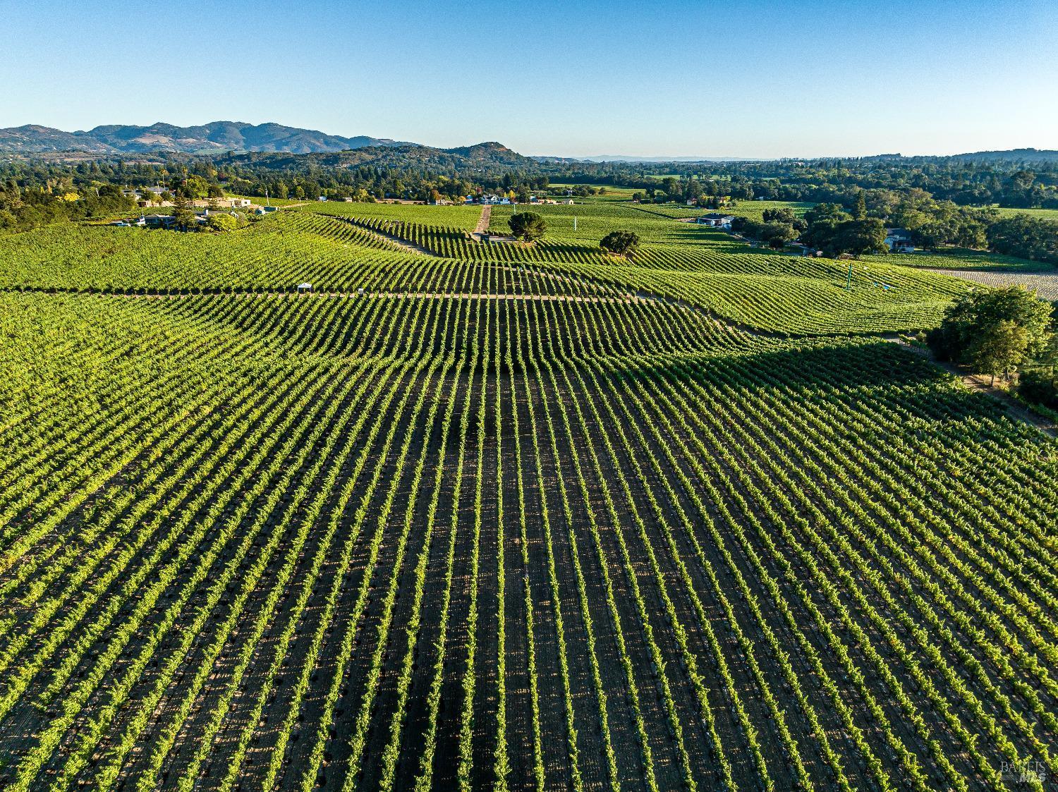 Napa, California, 94558, United States, 4 Bedrooms Bedrooms, ,6 BathroomsBathrooms,Residential,For Sale,1847246