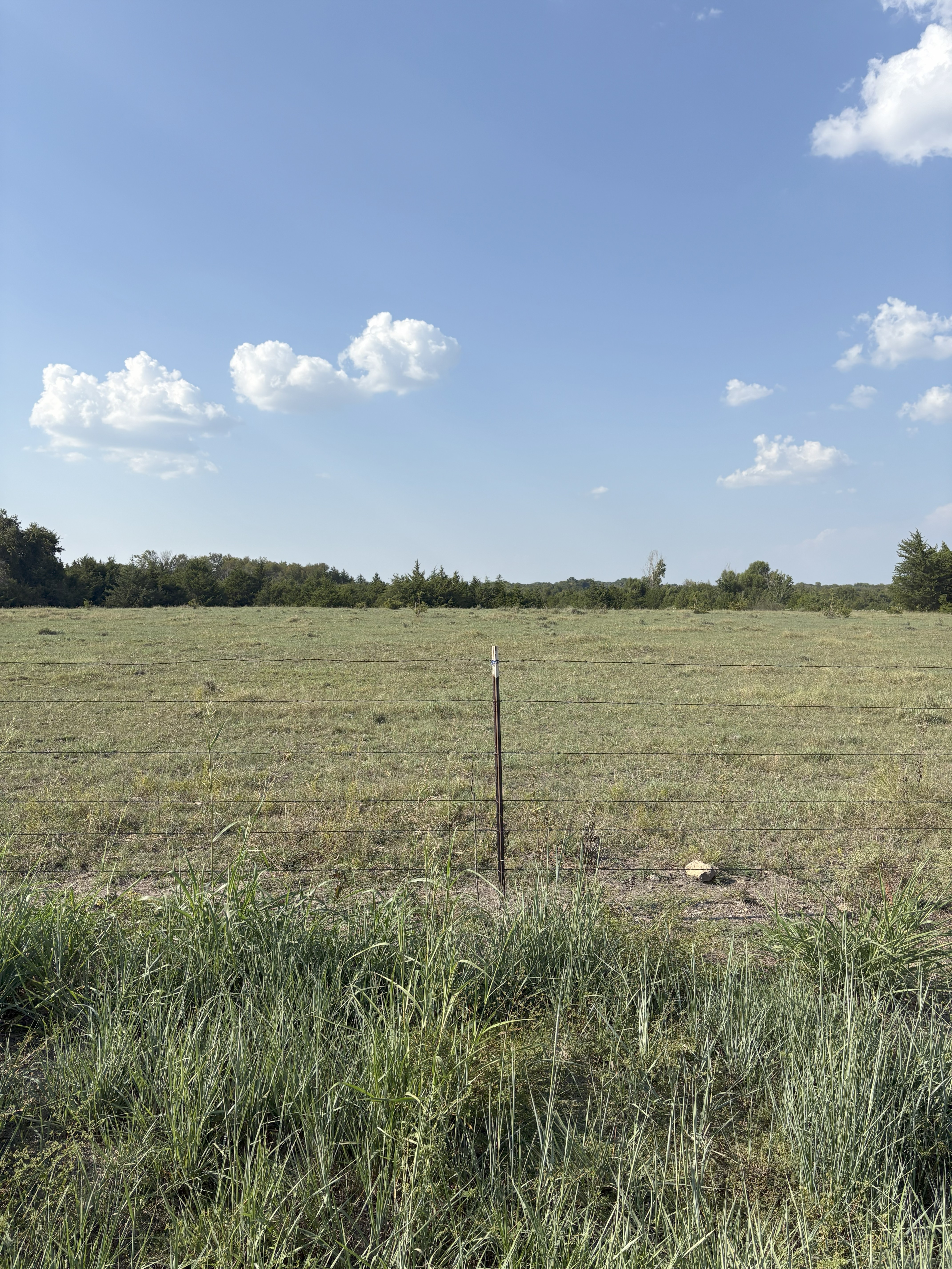 Roxton, Texas, 75477, United States, ,Land,For Sale,1979032