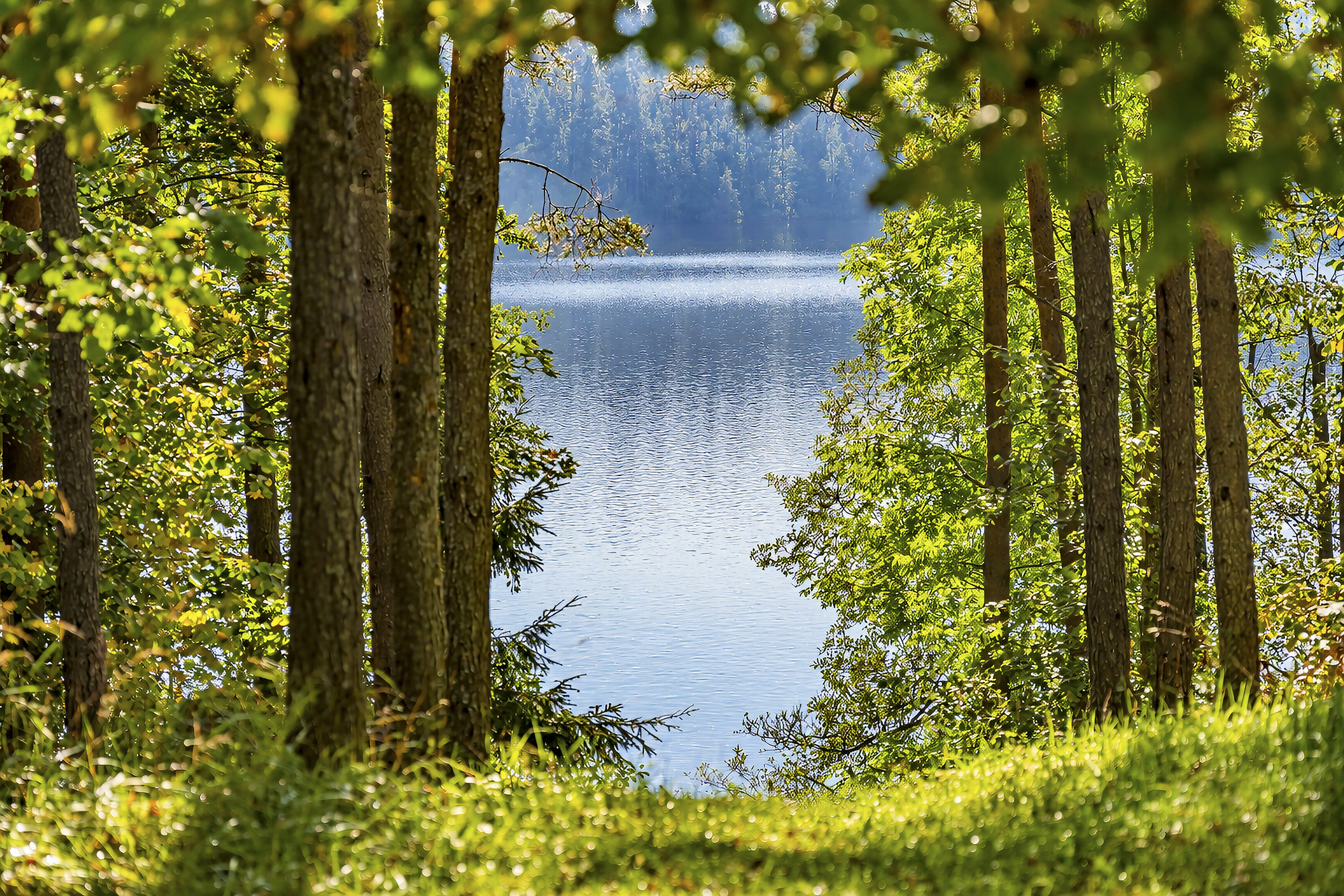  Your place by the lake, surrounded by forest - 物件實景
