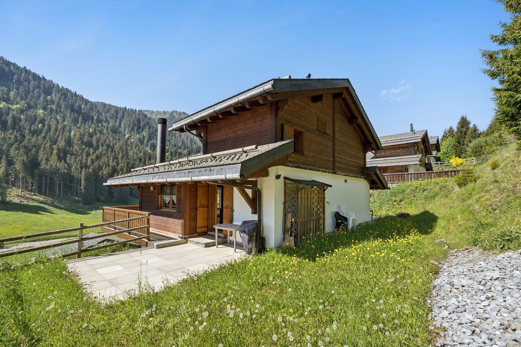  New chalet with a view in Morgins - Portes du Soleil - 物件實景