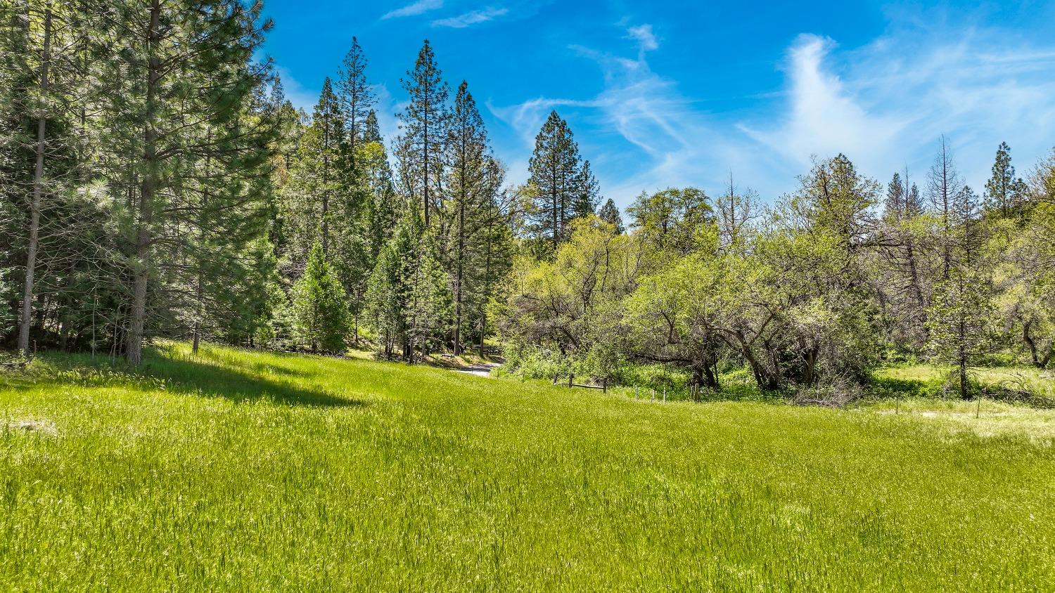Mountain Ranch, California, 95246, United States, 1 Bedroom Bedrooms, ,1 BathroomBathrooms,Residential,For Sale,1982993