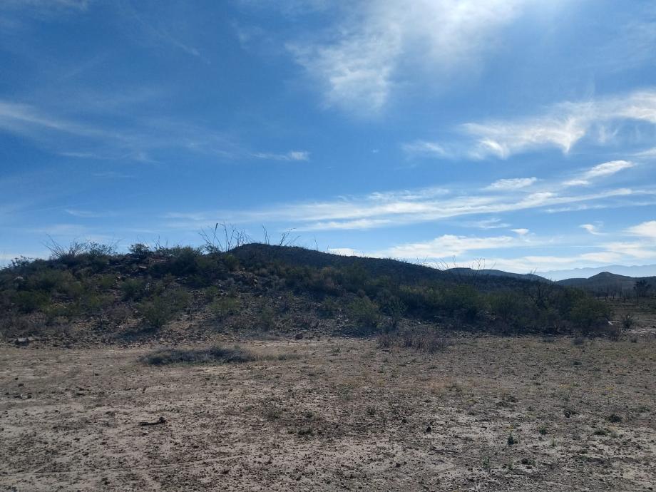KM 3 CARRETERA PARRAS A GENERAL CEPEDA, Parras, Coahuila de Zaragoza, 27987, Mexico, 1 Bedroom Bedrooms, ,Residential,For Sale,KM 3 CARRETERA PARRAS A GENERAL CEPEDA,1472261
