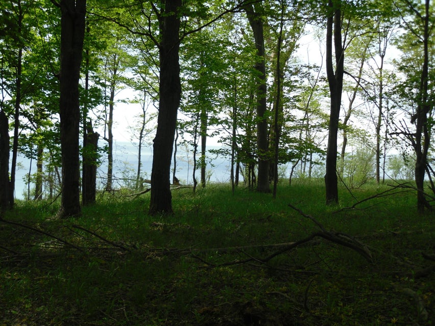 Ludington, Michigan, 49431, United States, ,Residential,For Sale,1915424