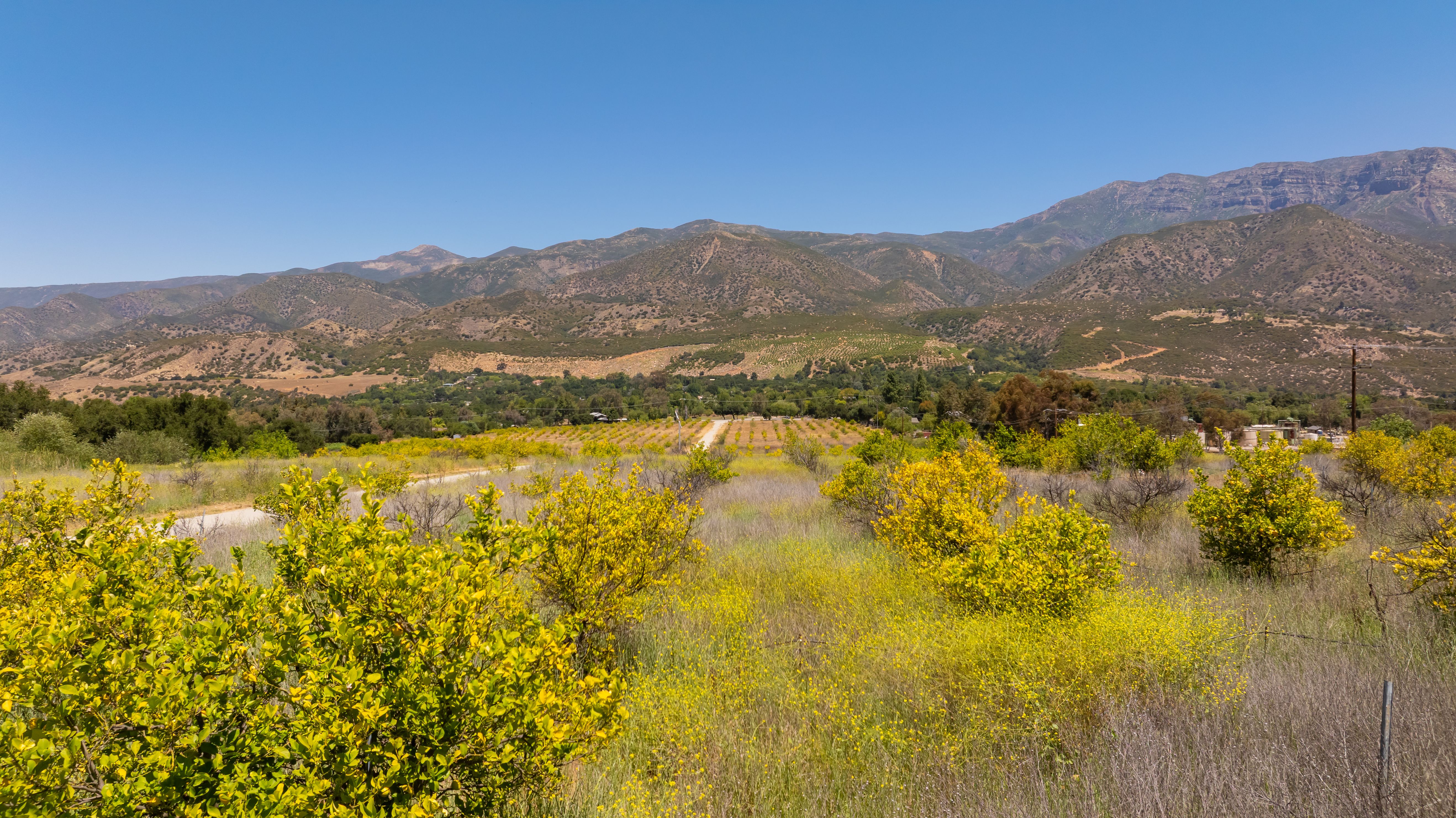  12400 Ojai Santa Paula Road, Ojai, CA 93023 - 物件實景