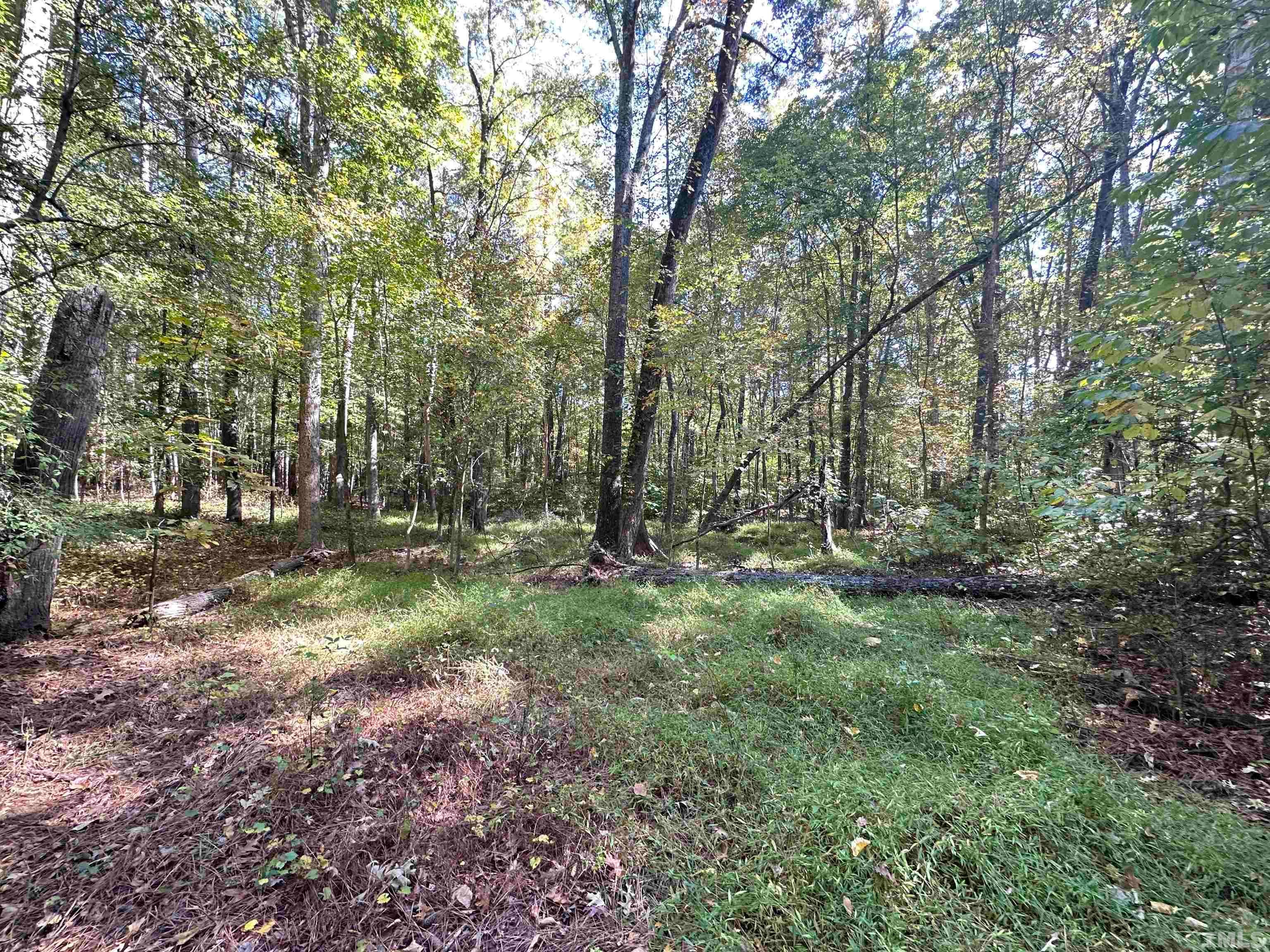 8017 Farrington Mill Road, Chapel Hill, North Carolina, 27517, United States, ,Land,For Sale,8017 Farrington Mill Road,1623508