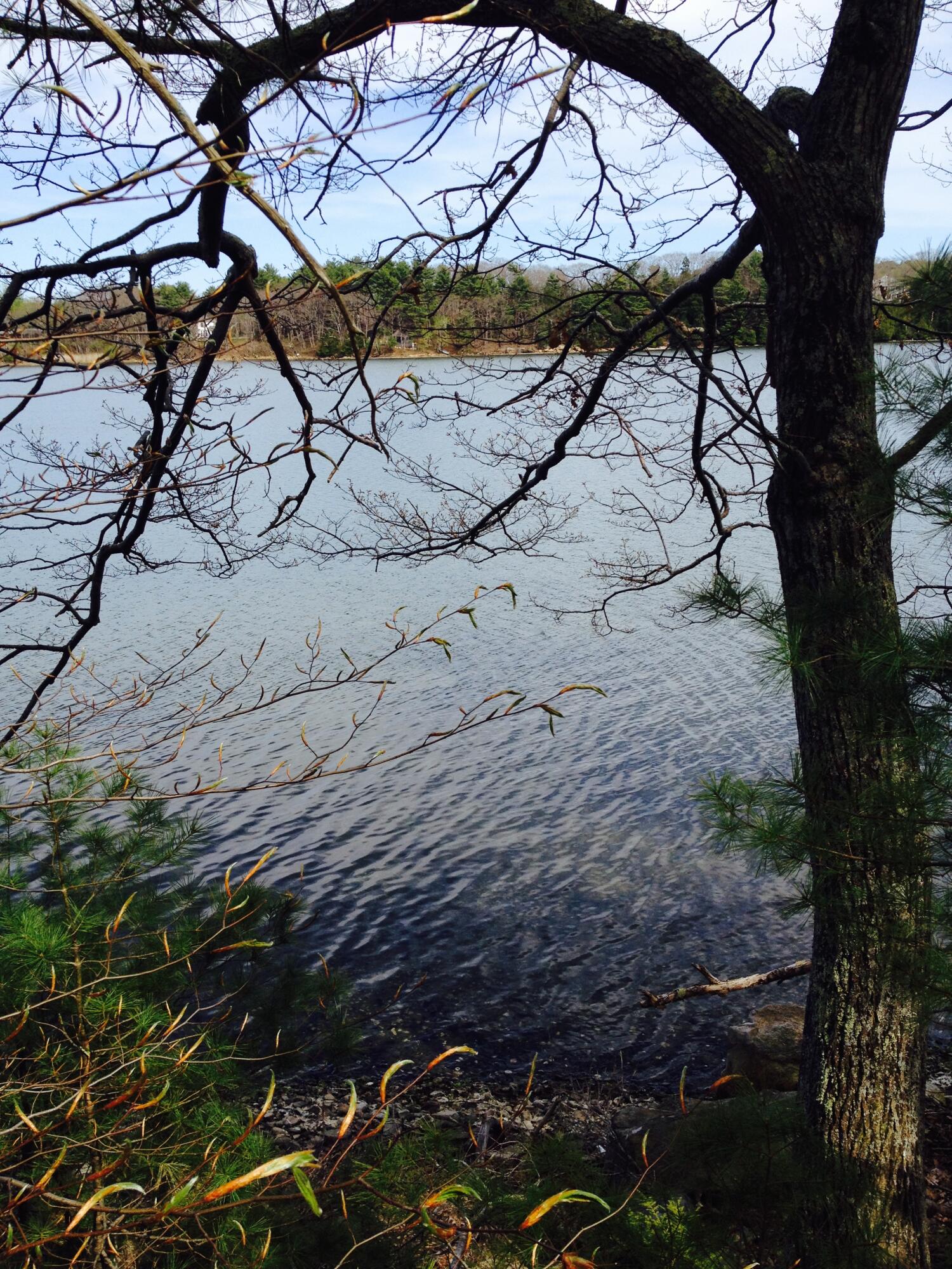 Brunswick, Maine, 04011, United States, ,Land,For Sale,1967592