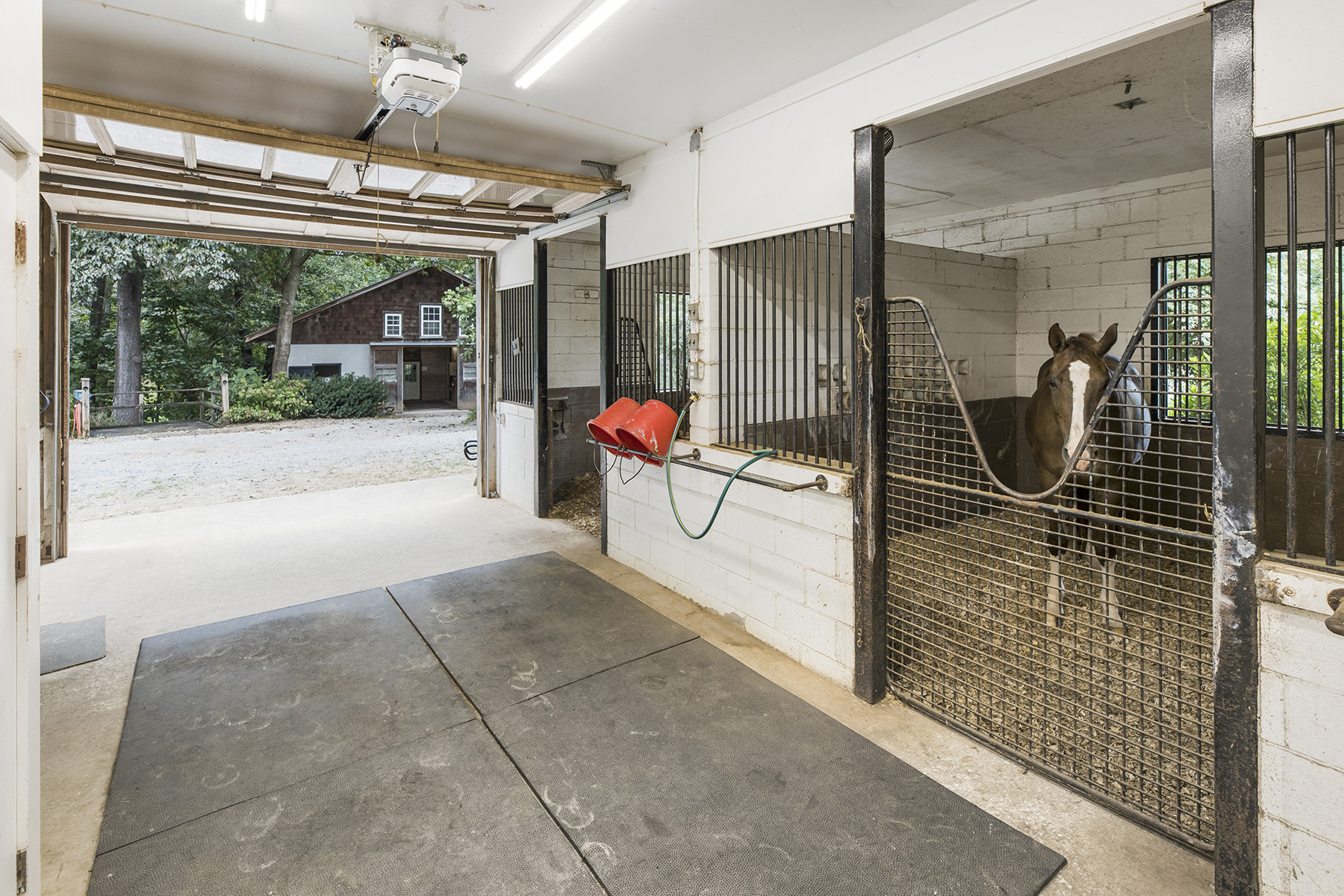  Absolute Perfection - 70± Acre Equestrian Farm with Rolling Pastureland - 物件實景