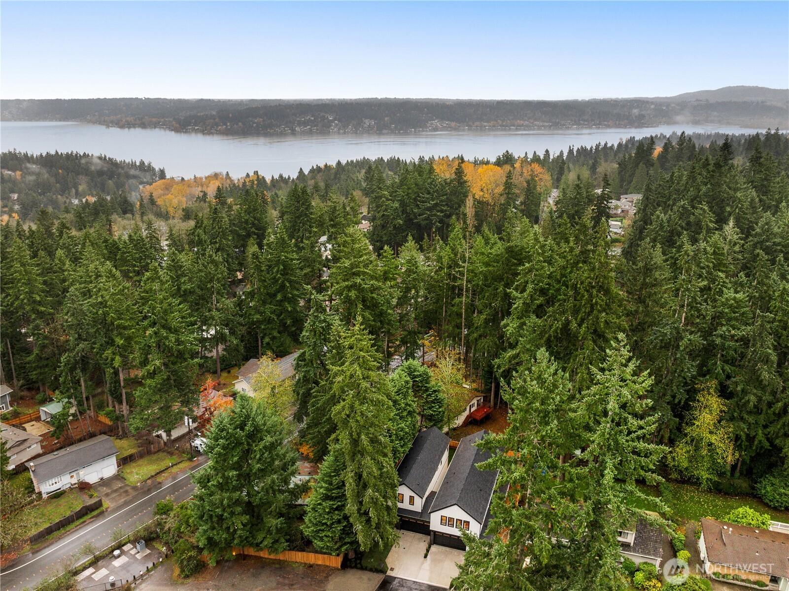 BELLEVUE, Washington, 98006, United States, 3 Bedrooms Bedrooms, ,3 BathroomsBathrooms,Residential,For Sale,1999727