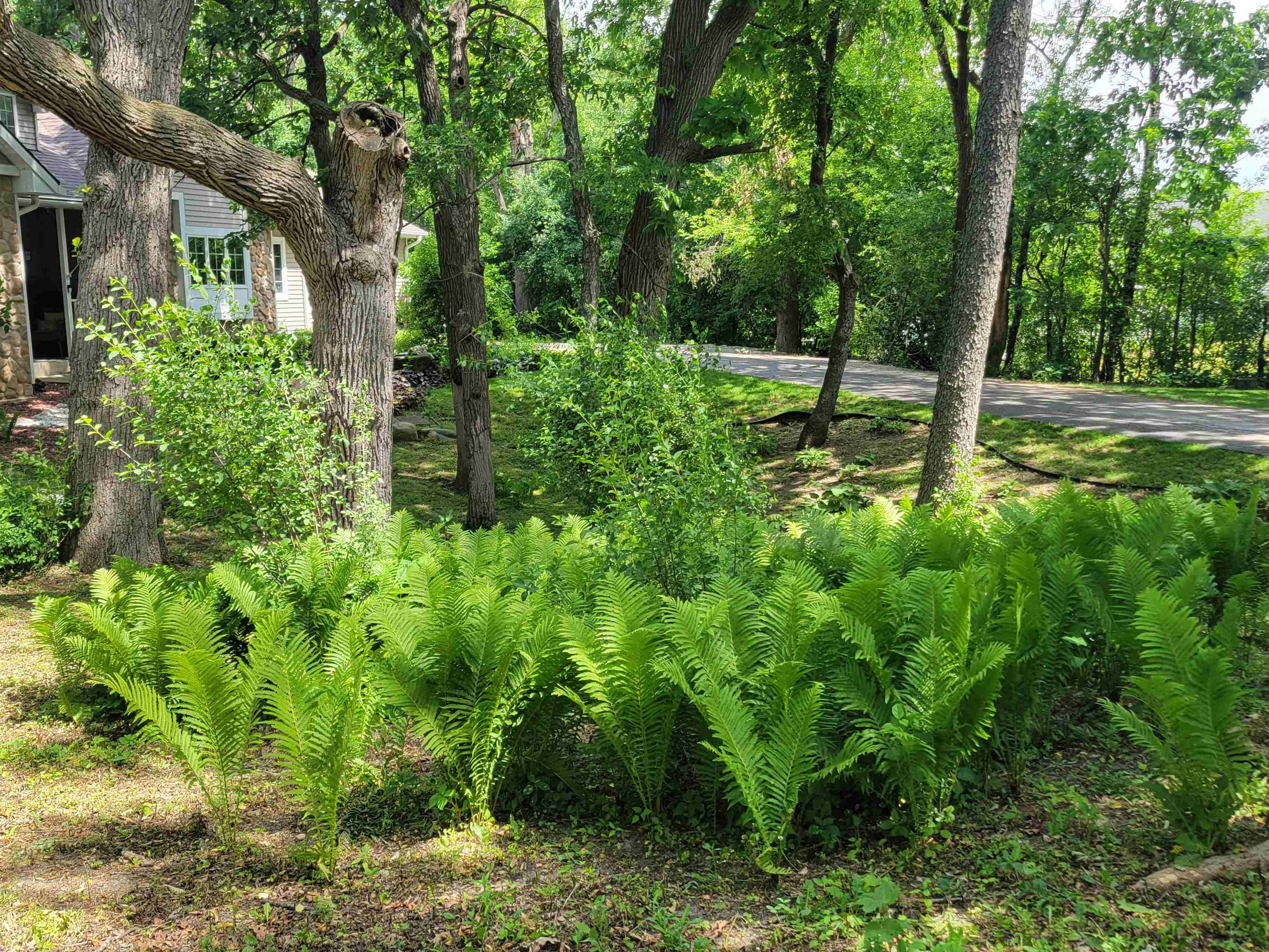 Janesville, Wisconsin, 53546, United States, 4 Bedrooms Bedrooms, ,4 BathroomsBathrooms,Residential,For Sale,2026156
