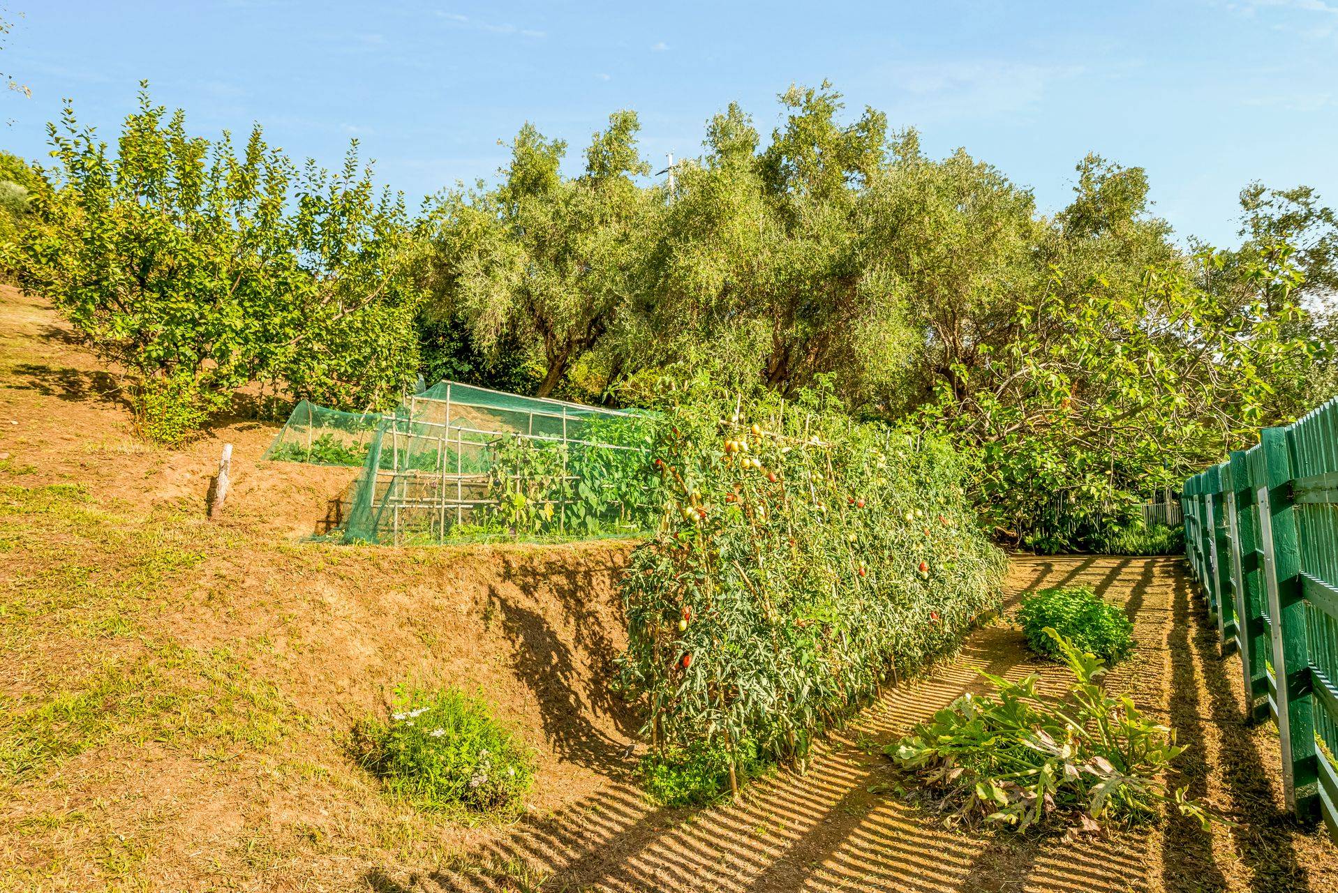 Pietrasanta, Lucca, 55045, IT, 2 Bedrooms Bedrooms, ,3 BathroomsBathrooms,Residential,For Sale,1950979