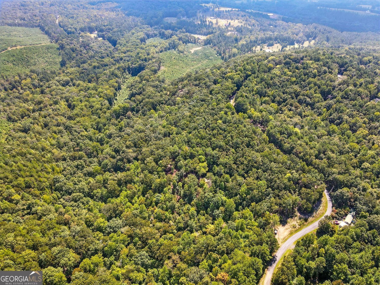 Waleska, Georgia, 30183, United States, ,Land,For Sale,1929808