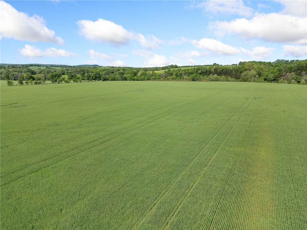 Alpena, Arkansas, 72611, United States, ,Land,For Sale,1903921