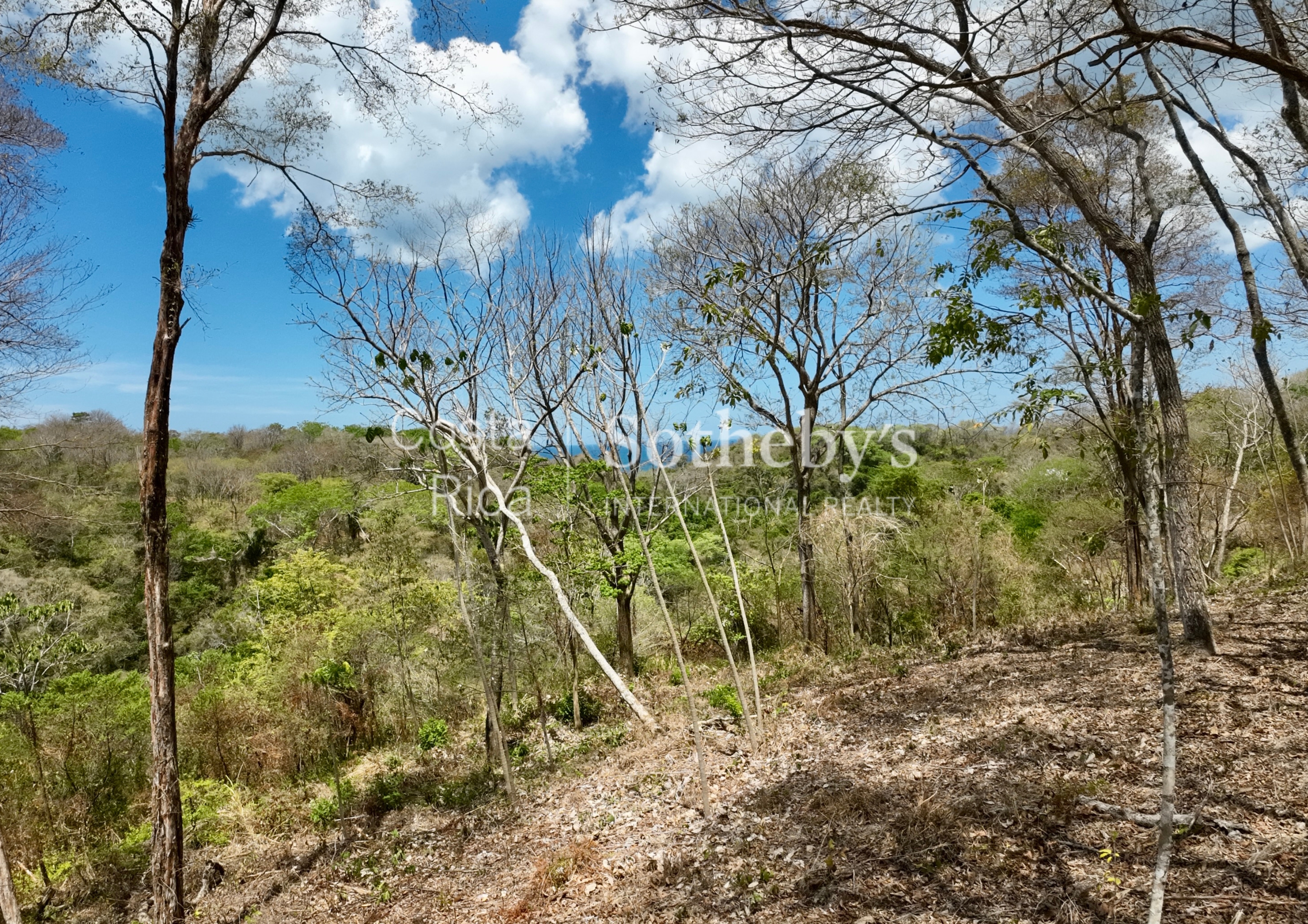  Idyllic Ocean View Lot in the Hills of Hermosa - 物件實景