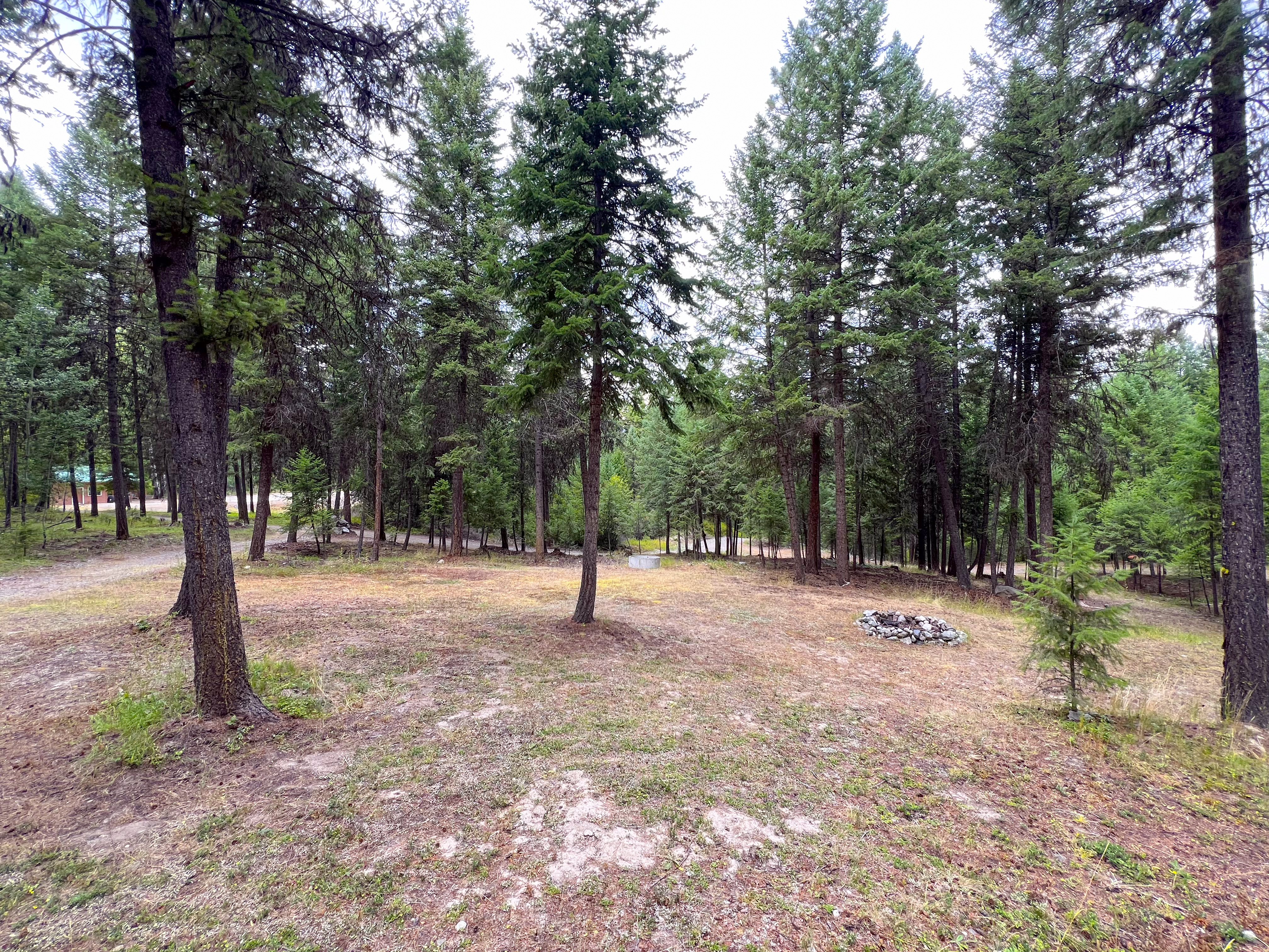 Republic, Washington, 99166, United States, 3 Bedrooms Bedrooms, ,3 BathroomsBathrooms,Residential,For Sale,1976903