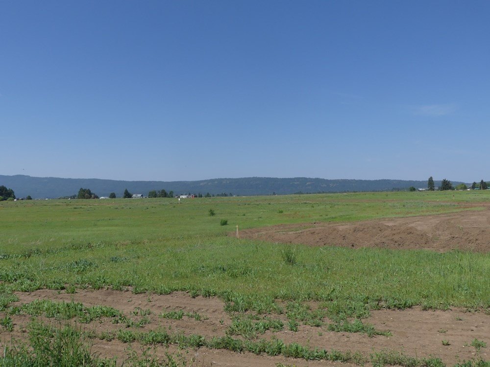 McCall, Idaho, 83638, United States, ,Land,For Sale,1978788