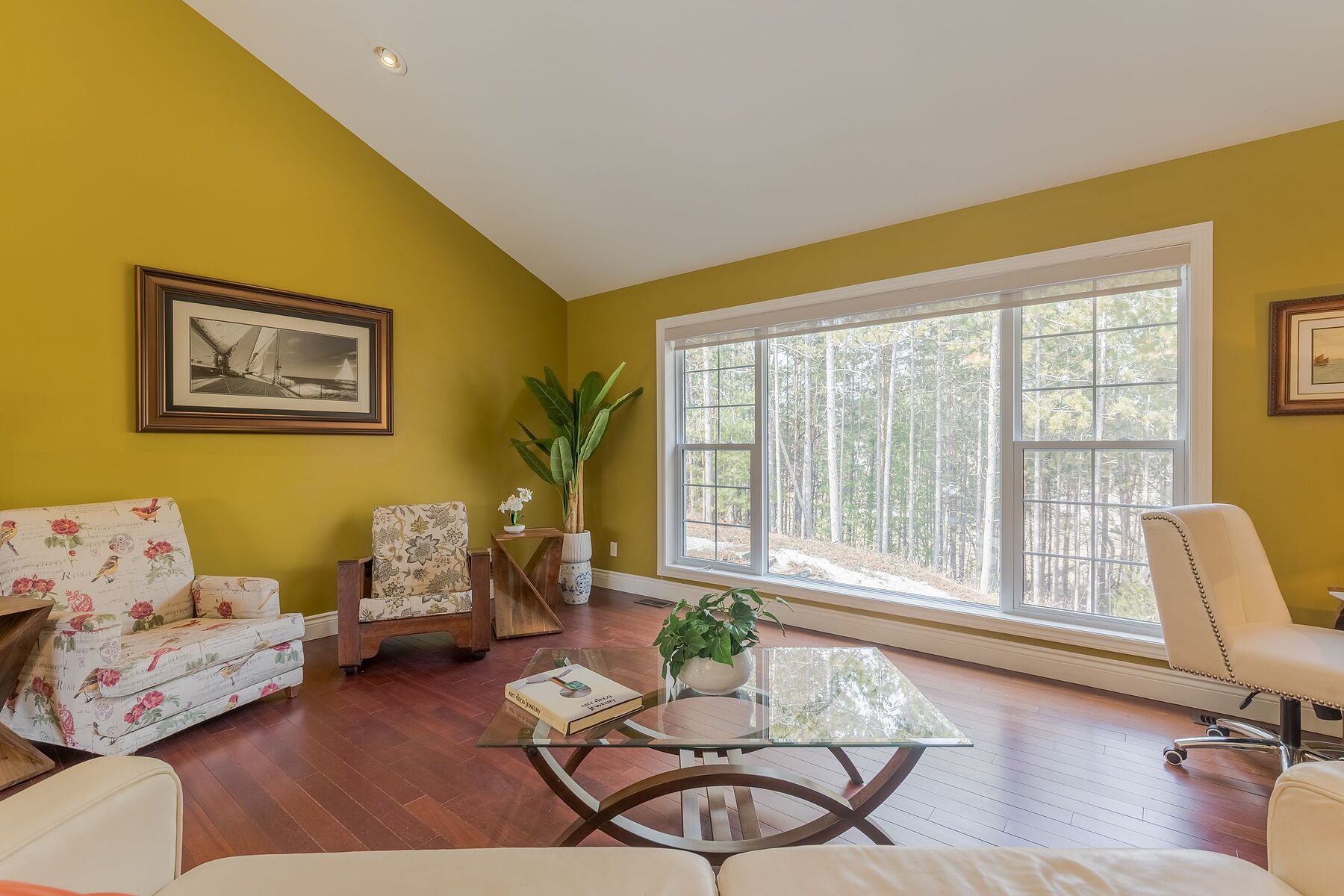  Magic of Warkworth - 物件實景