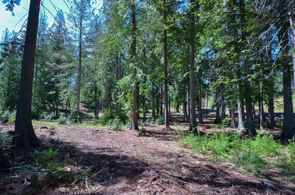 Sagle, Idaho, 83860, United States, ,Land,For Sale,1974286