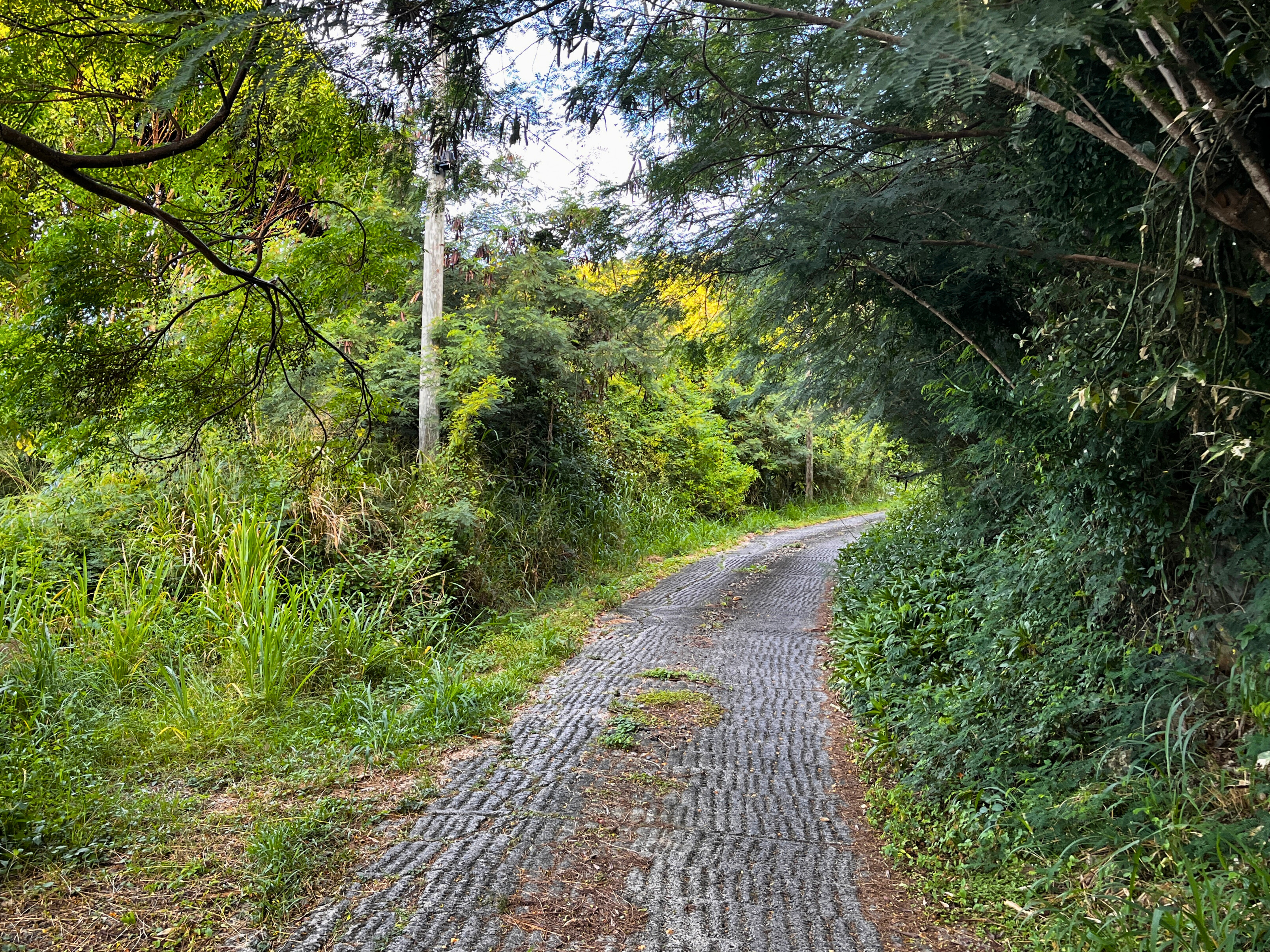  Havers St. John View - 物件實景