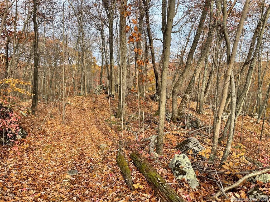 New Fairfield, Connecticut, 06812, United States, ,Residential,For Sale,1986113