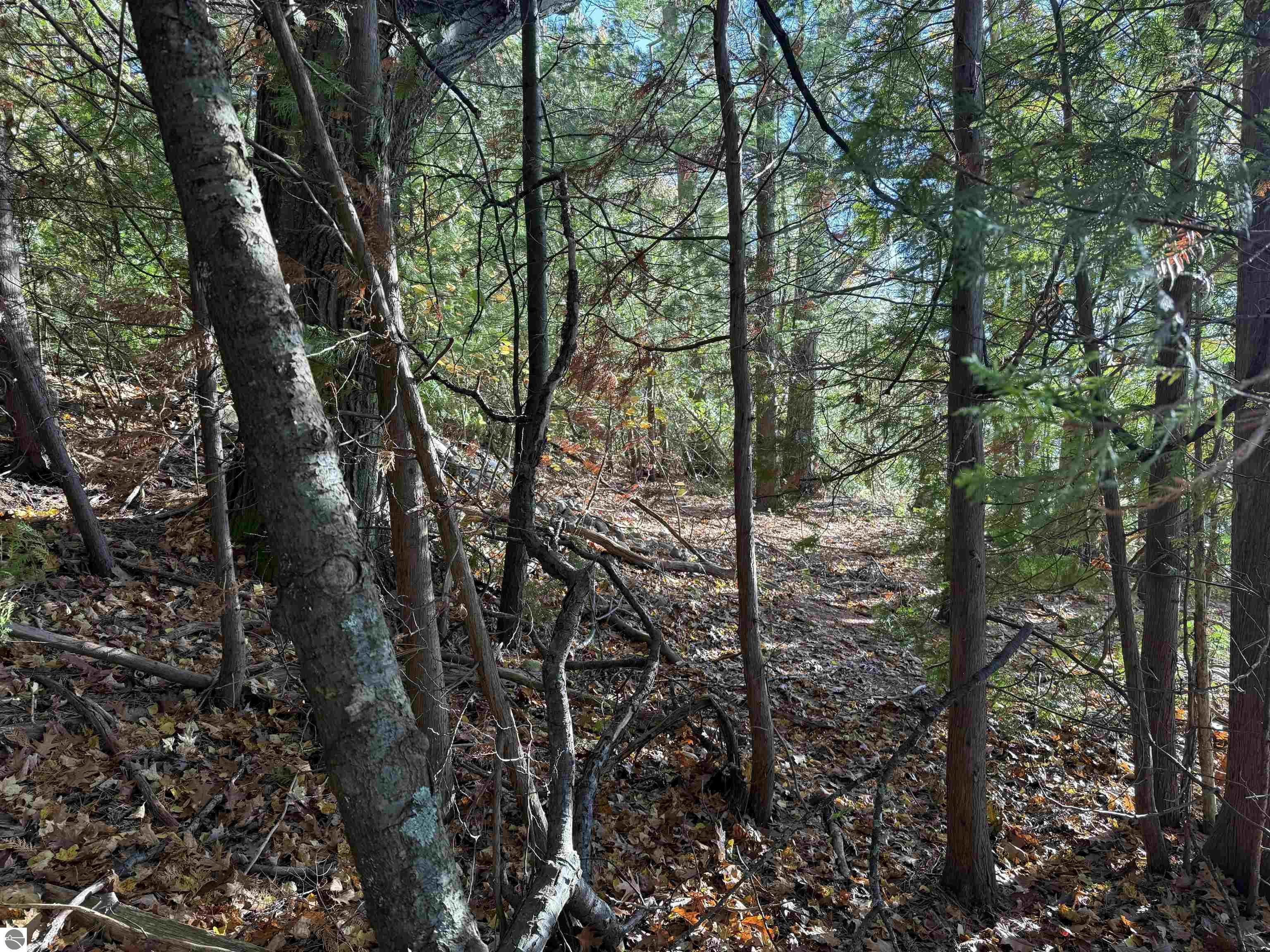 Suttons Bay, Michigan, 49682, United States, ,Land,For Sale,1988871