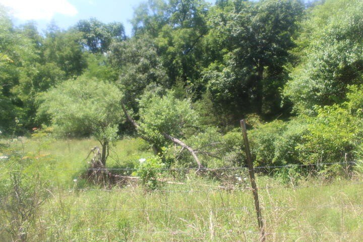 Polk, Missouri, 65727, United States, ,Land,For Sale,1980569