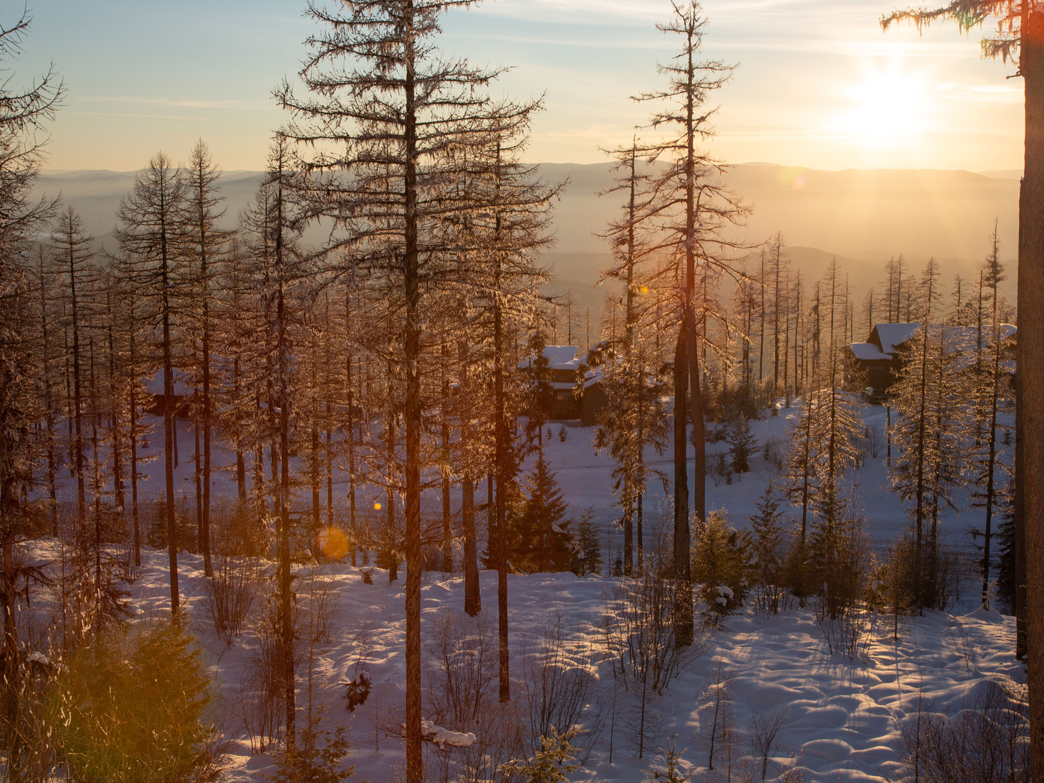  299 Elk Highlands Drive - 物件實景