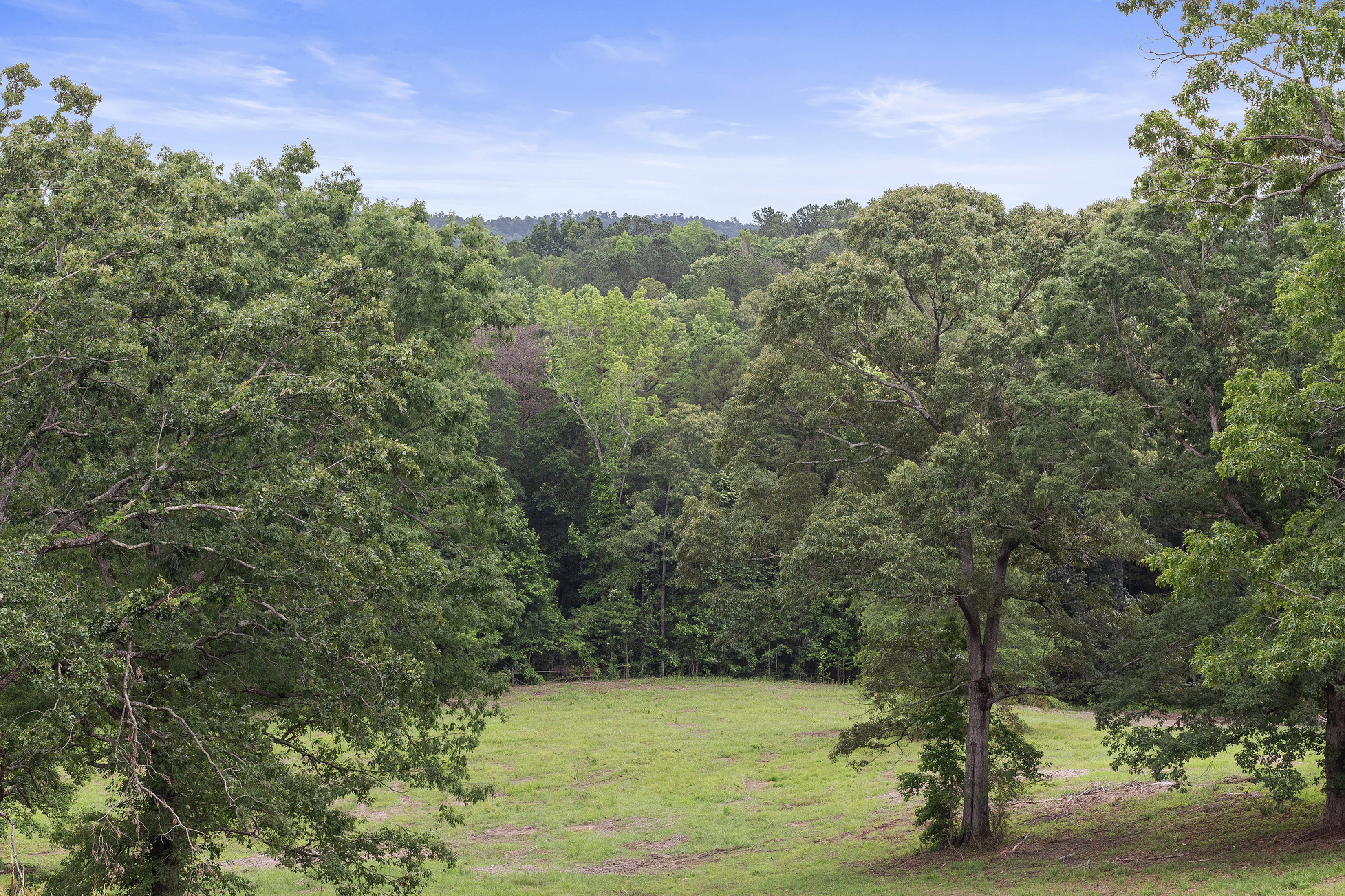  A Perfect Blend of Privacy and Natural Beauty in Newnan - 物件實景