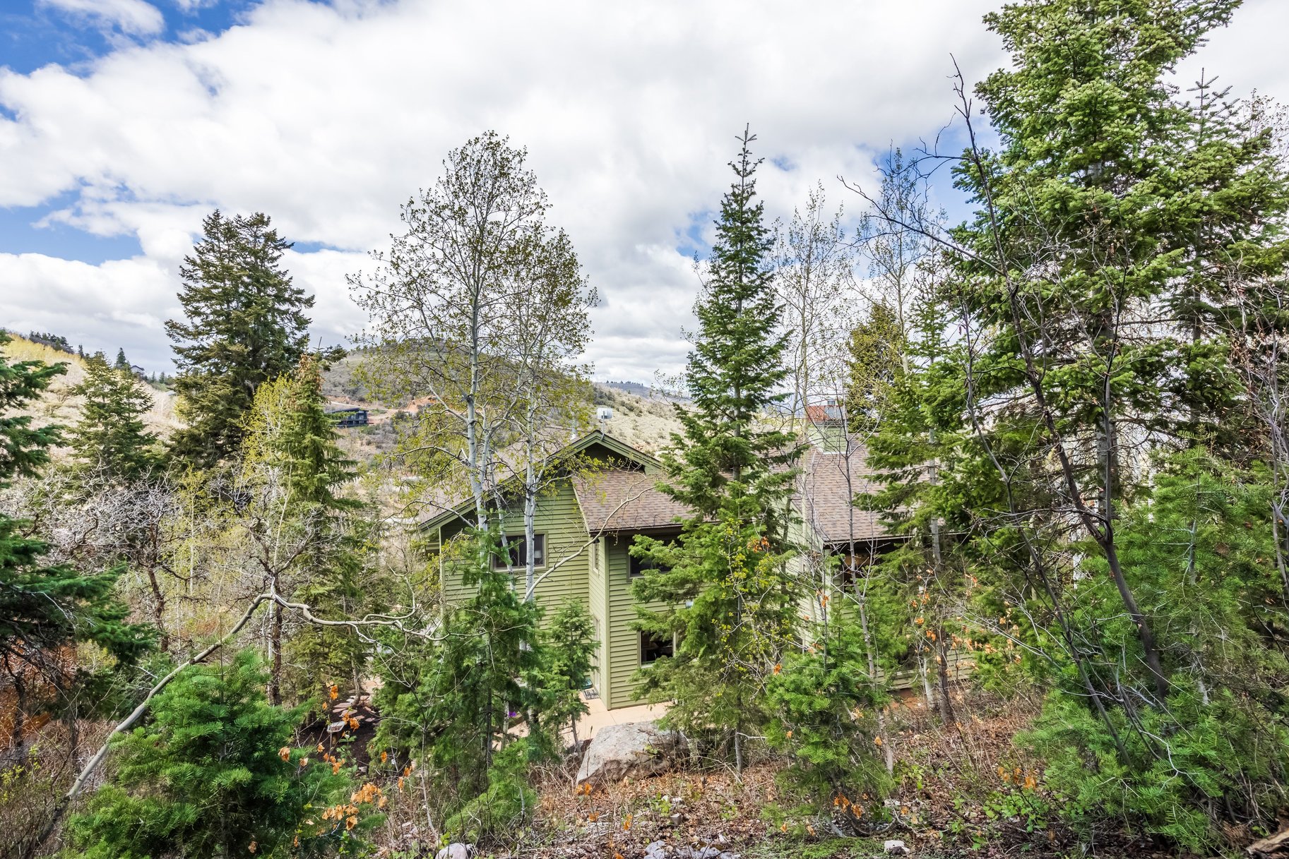  Nature-Inspired Living in the Heart of Park City