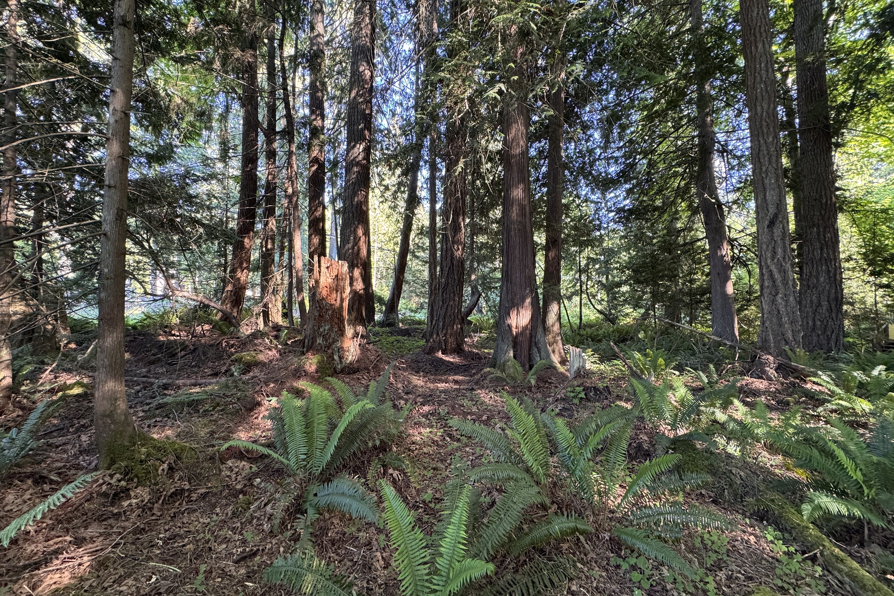  Sechelt, Sunshine Coast - 物件實景
