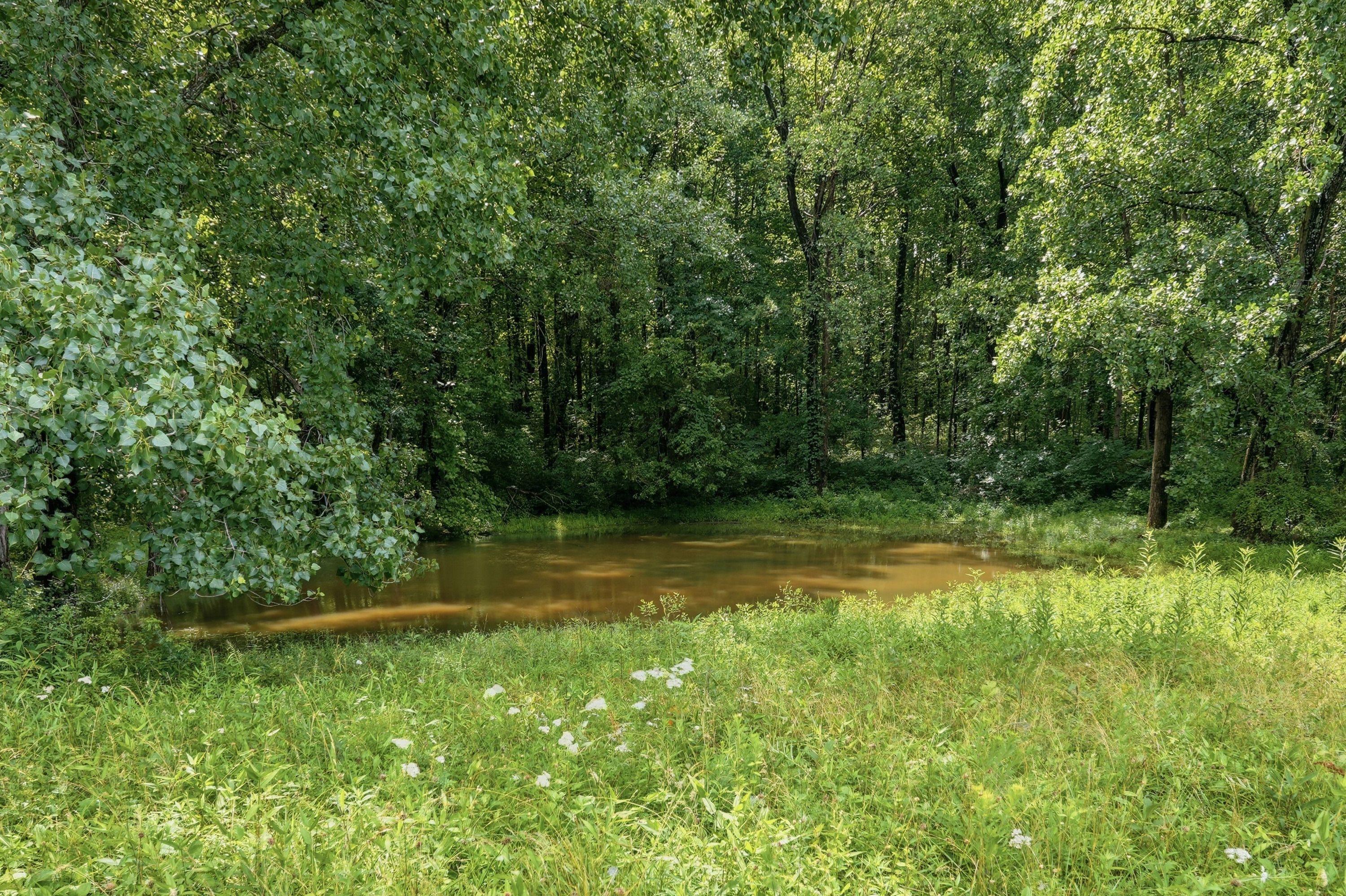  3850 Smith Lane, La Grange, KY 40031 - 物件實景