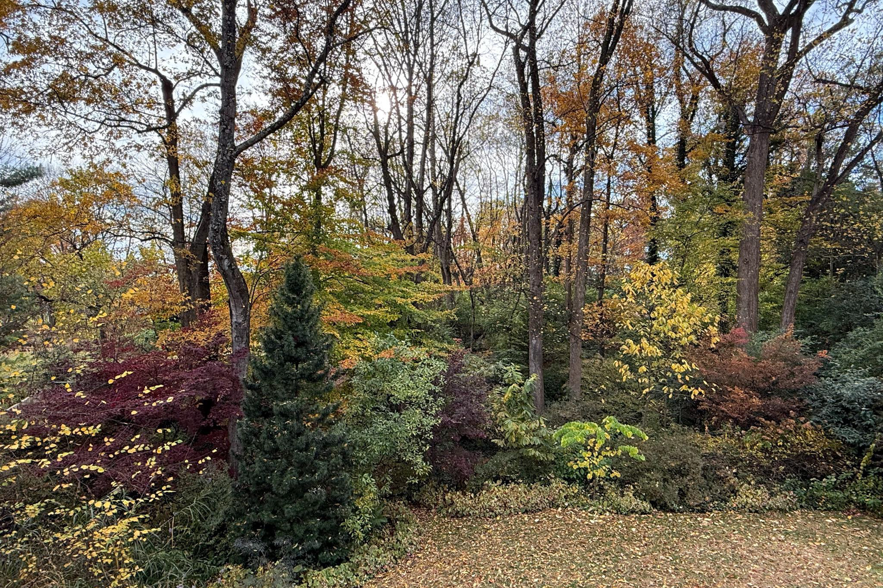  7318 Burdette Court, Bethesda, MD, 20817 - 物件實景