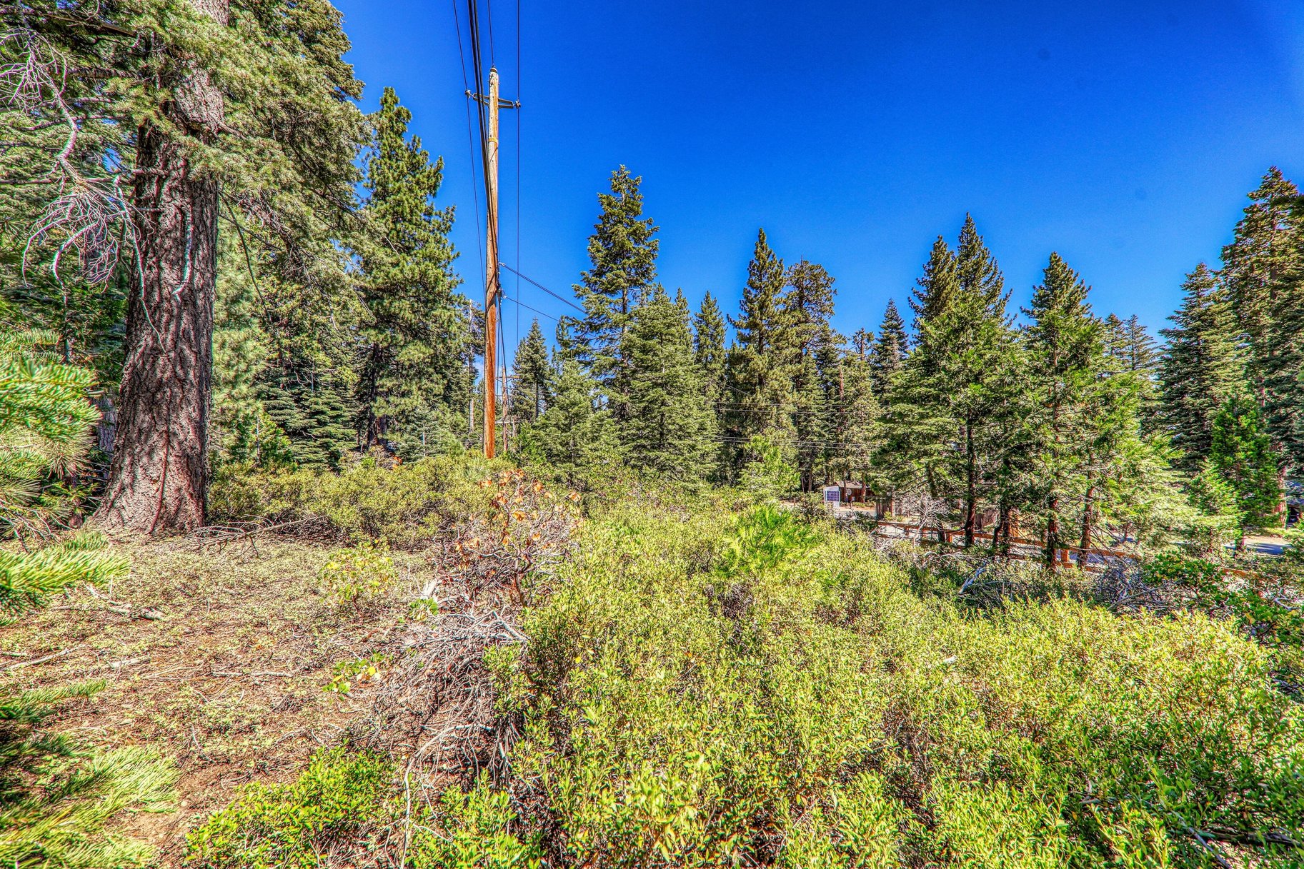  Buildable Lot Between Sunnyside and Tahoe City, Excellent Location - 物件實景