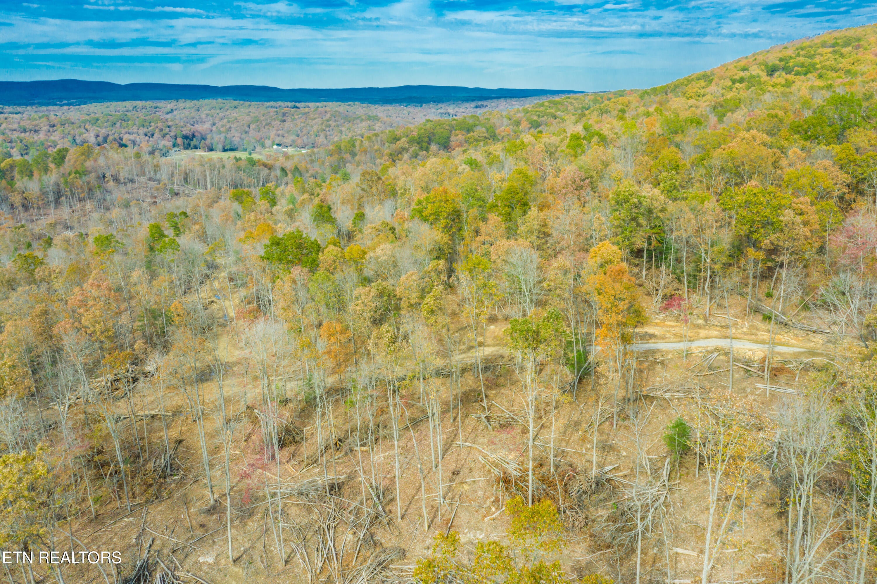 Rockwood, Tennessee, 37854, United States, ,Land,For Sale,1806468