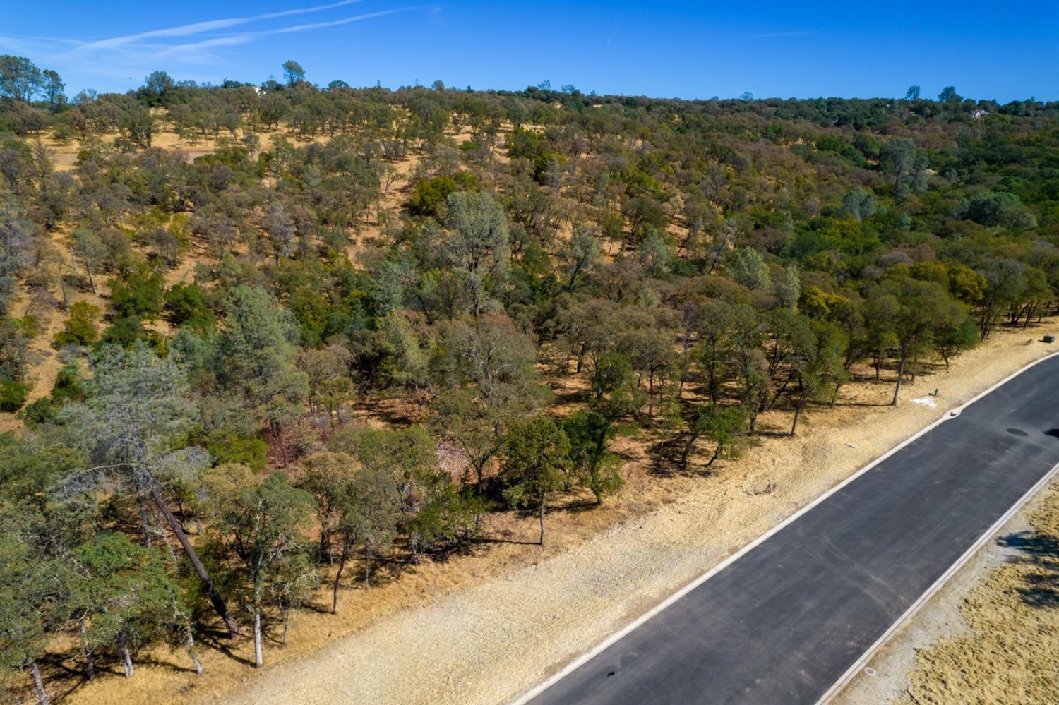 4135 Raphael Drive, El Dorado Hills, California, 95762, United States, ,Land,For Sale,4135 Raphael Drive,1642699