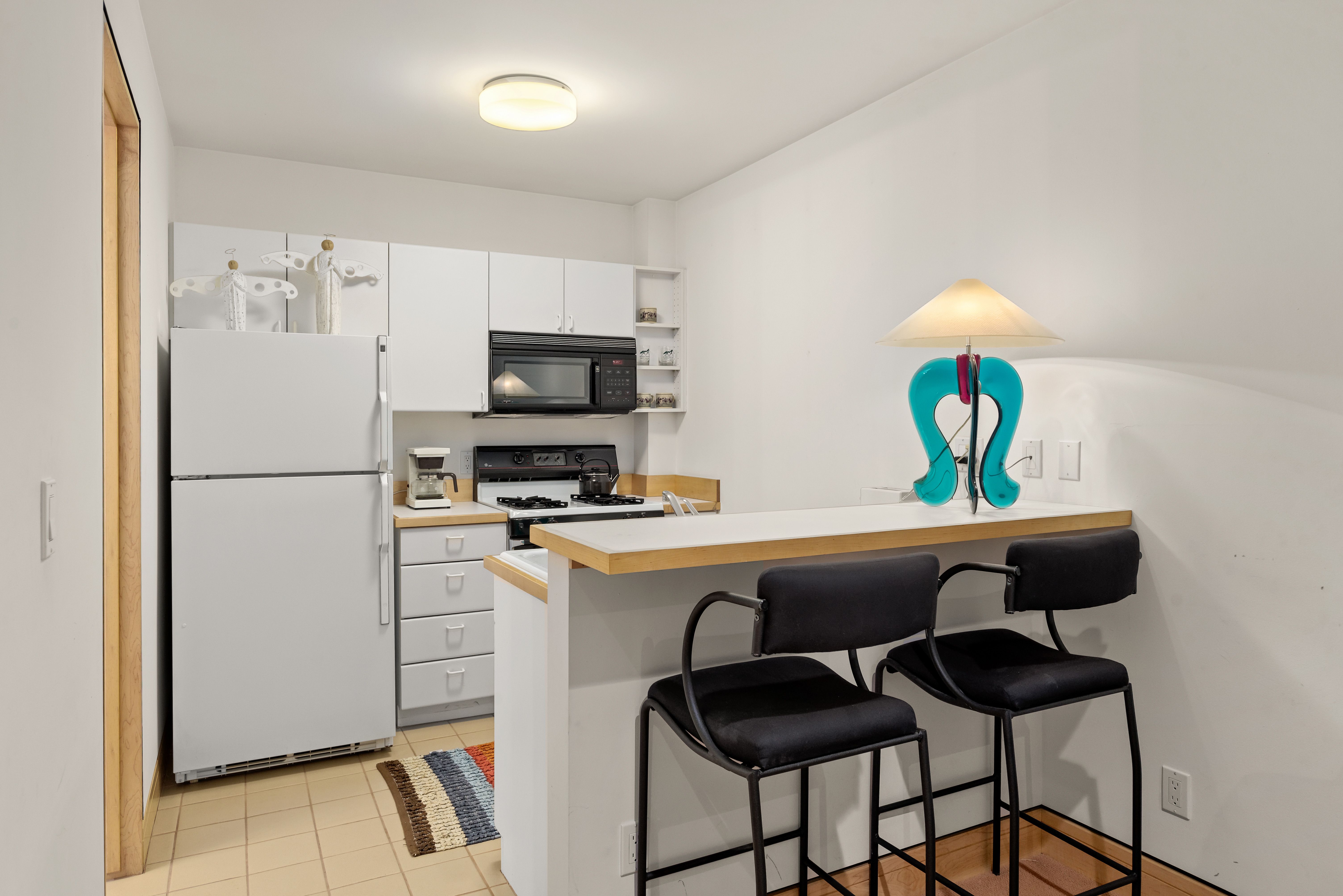  530 West Francis Street, Aspen, CO 81611 - 物件實景