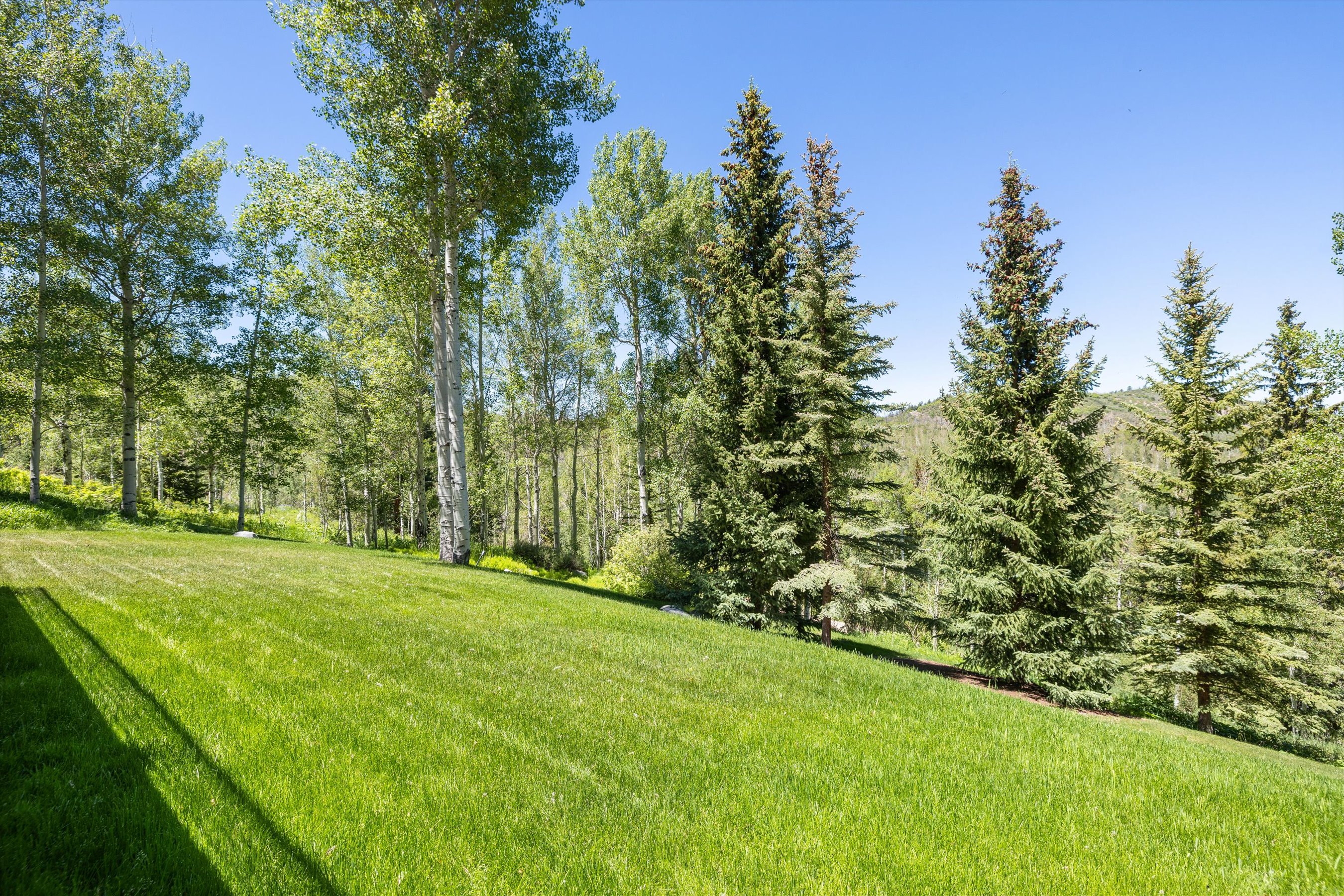  142 Aspen Way, Snowmass Village, CO, 81615 - 物件實景