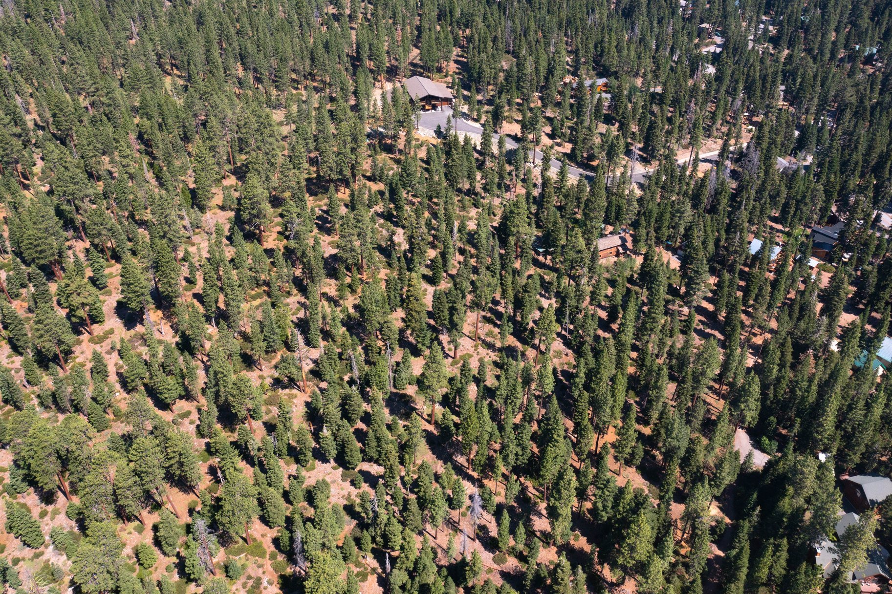  Rare, 10-acre parcel with house minutes from Tahoe City - 物件實景
