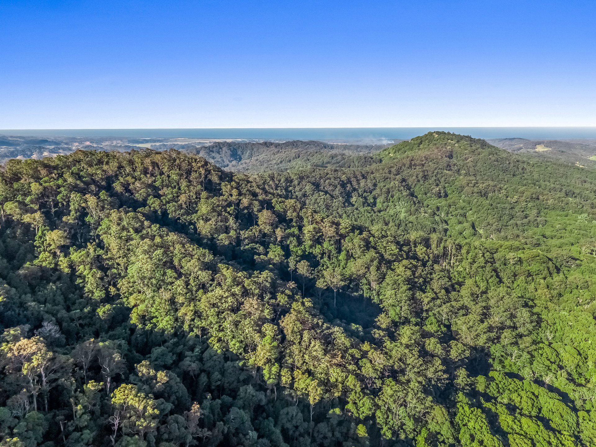  112 Pimble Valley Road, Crabbes Creek - 物件實景