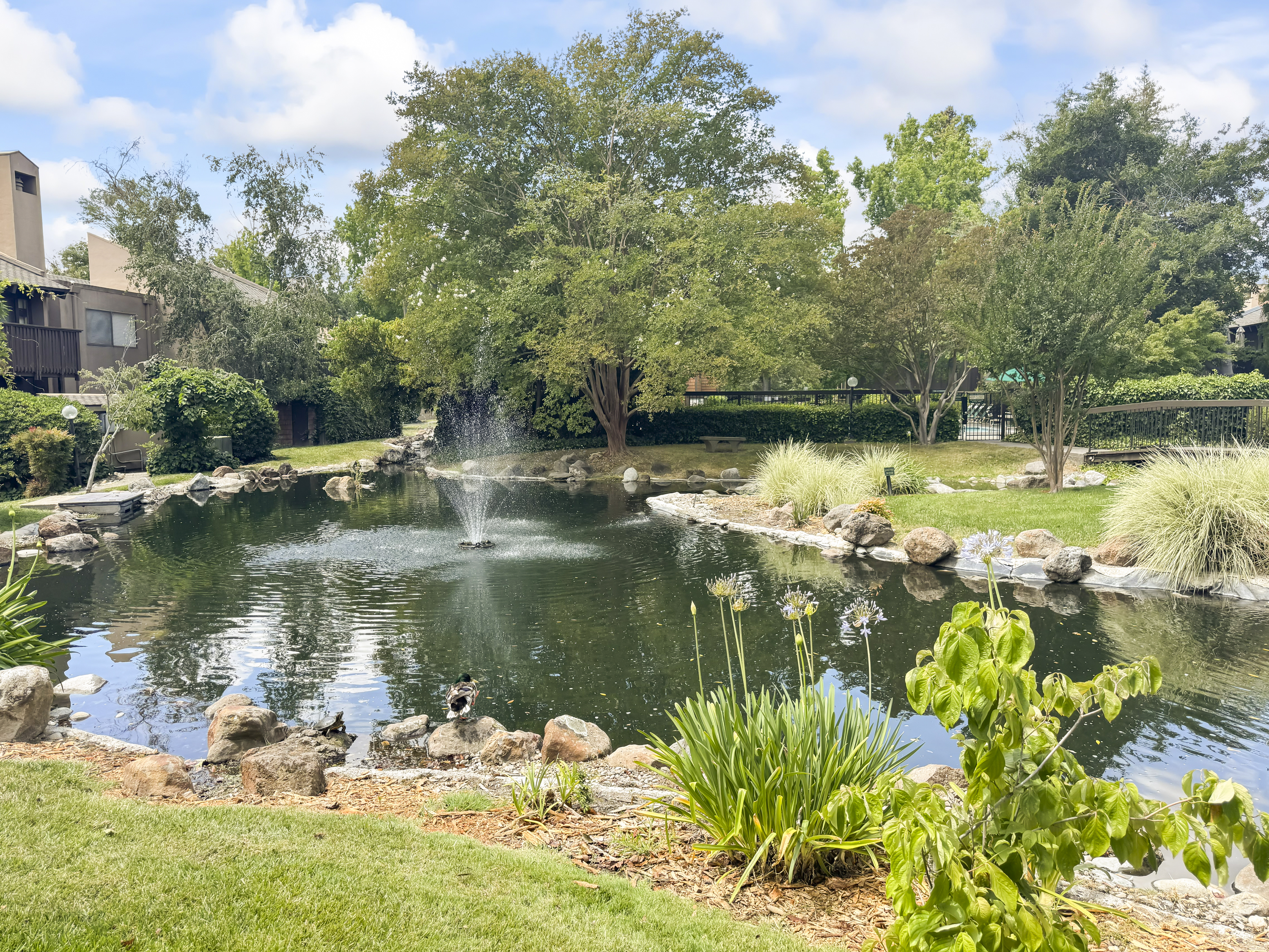  709 Woodside Lane East #2, Sacramento, CA 95825 - 物件實景