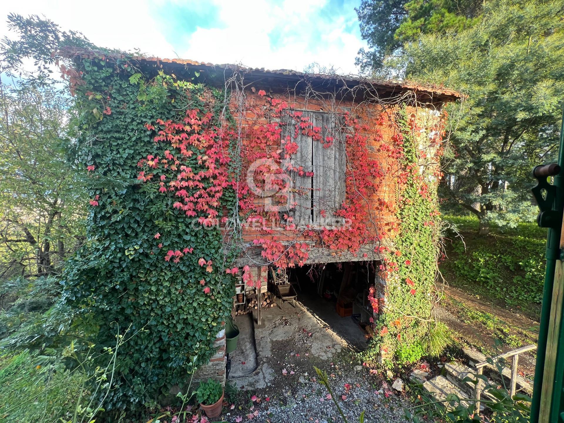 VIA DI VICOPELAGO, Lucca, Lucca, 55100, IT, 4 Bedrooms Bedrooms, ,2 BathroomsBathrooms,Residential,For Sale,VIA DI VICOPELAGO,1628476