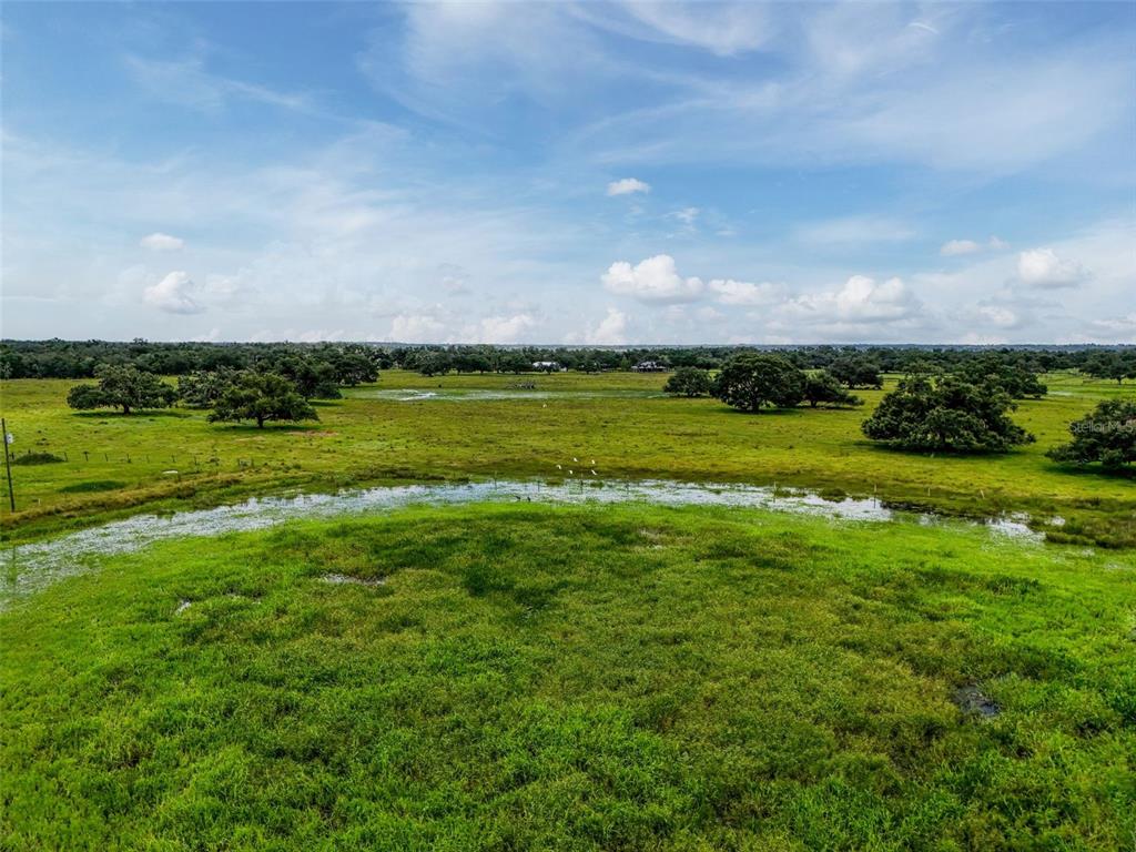 Myakka City, Florida, 34251, United States, ,Land,For Sale,1908306
