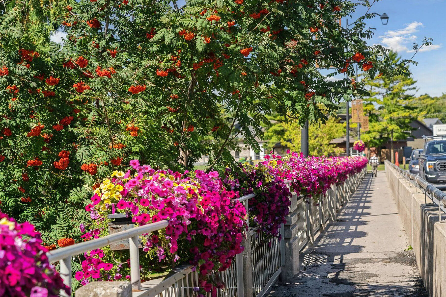  Fenelon Lakes Club - Cameron - 物件實景