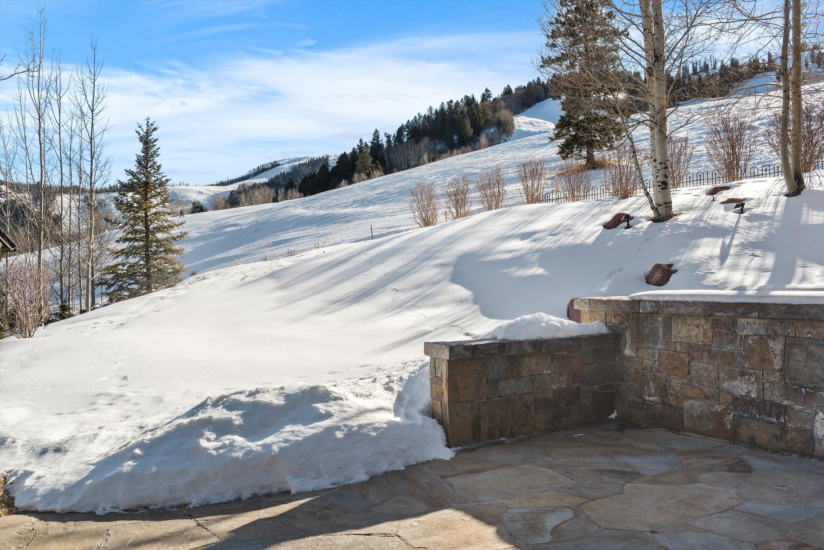  15 South Willow Court, Aspen, CO 81611 - 物件實景