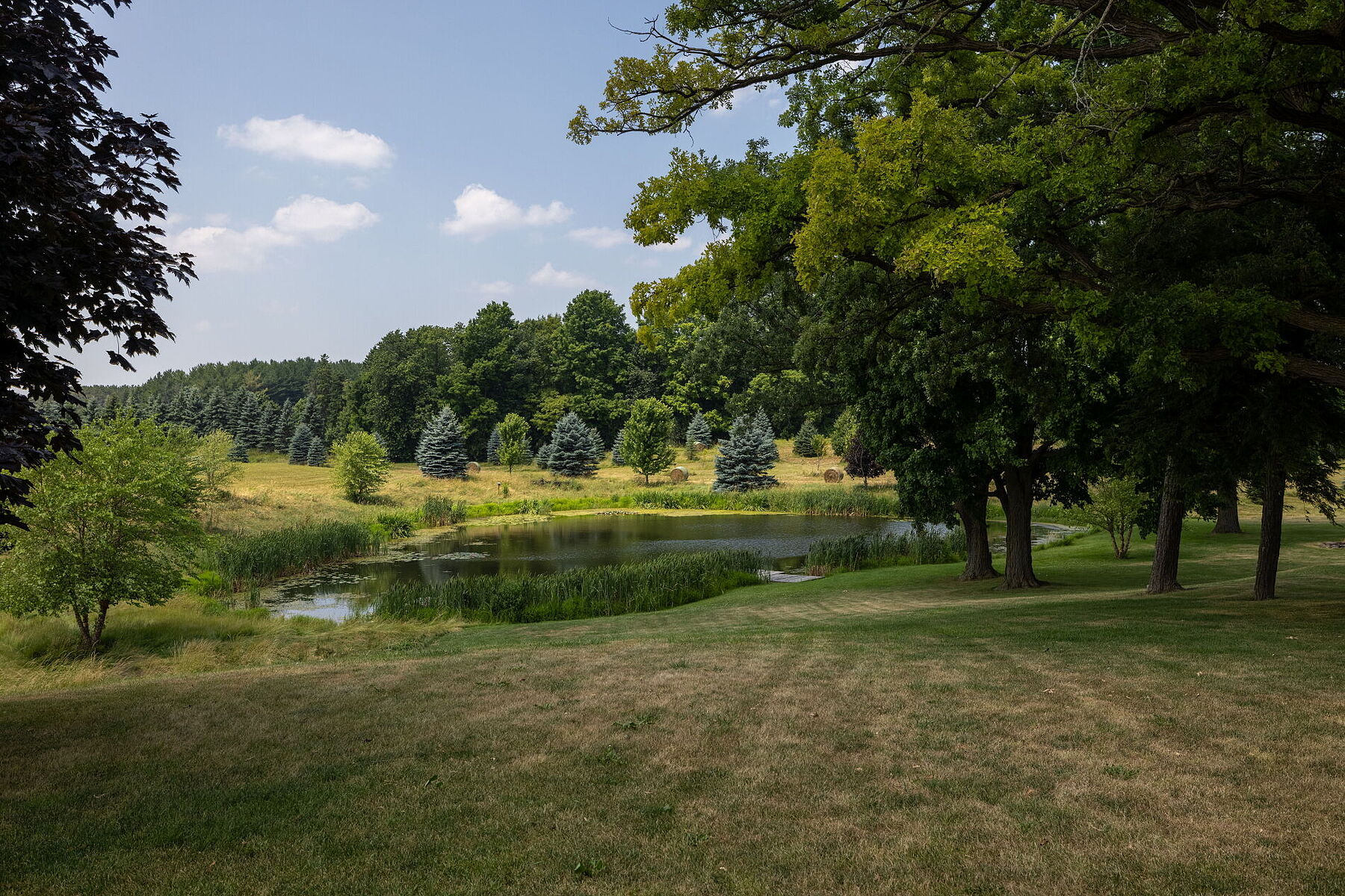  96-acre Farm Estate - 物件實景