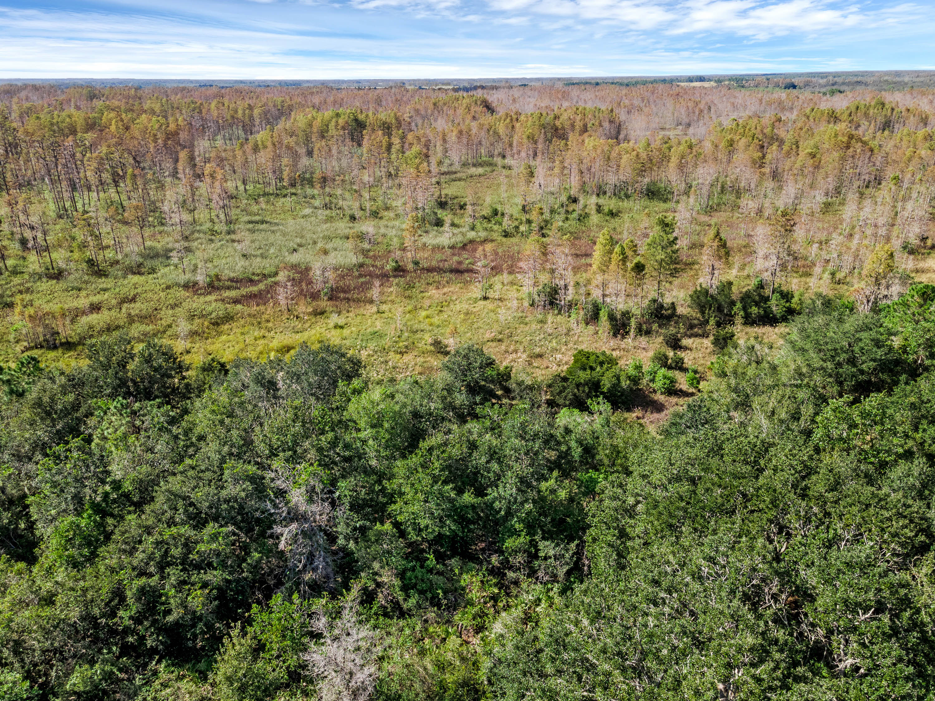 Diamond Acres Rd, Davenport, Florida, 33837, United States, ,Residential,For Sale,Diamond Acres Rd,1405228