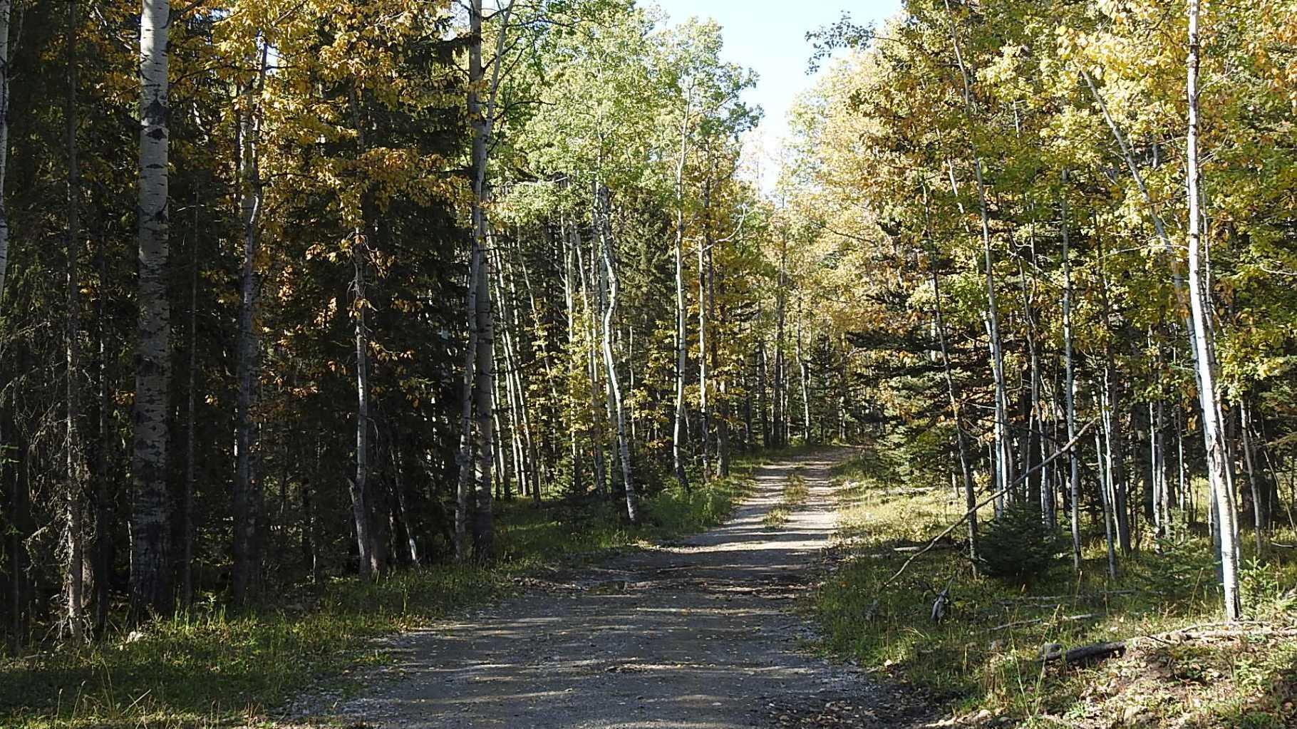 RURAL FOOTHILLS COUNTY, Alberta, T0L 1K0, CA, ,Residential,For Sale,1836944