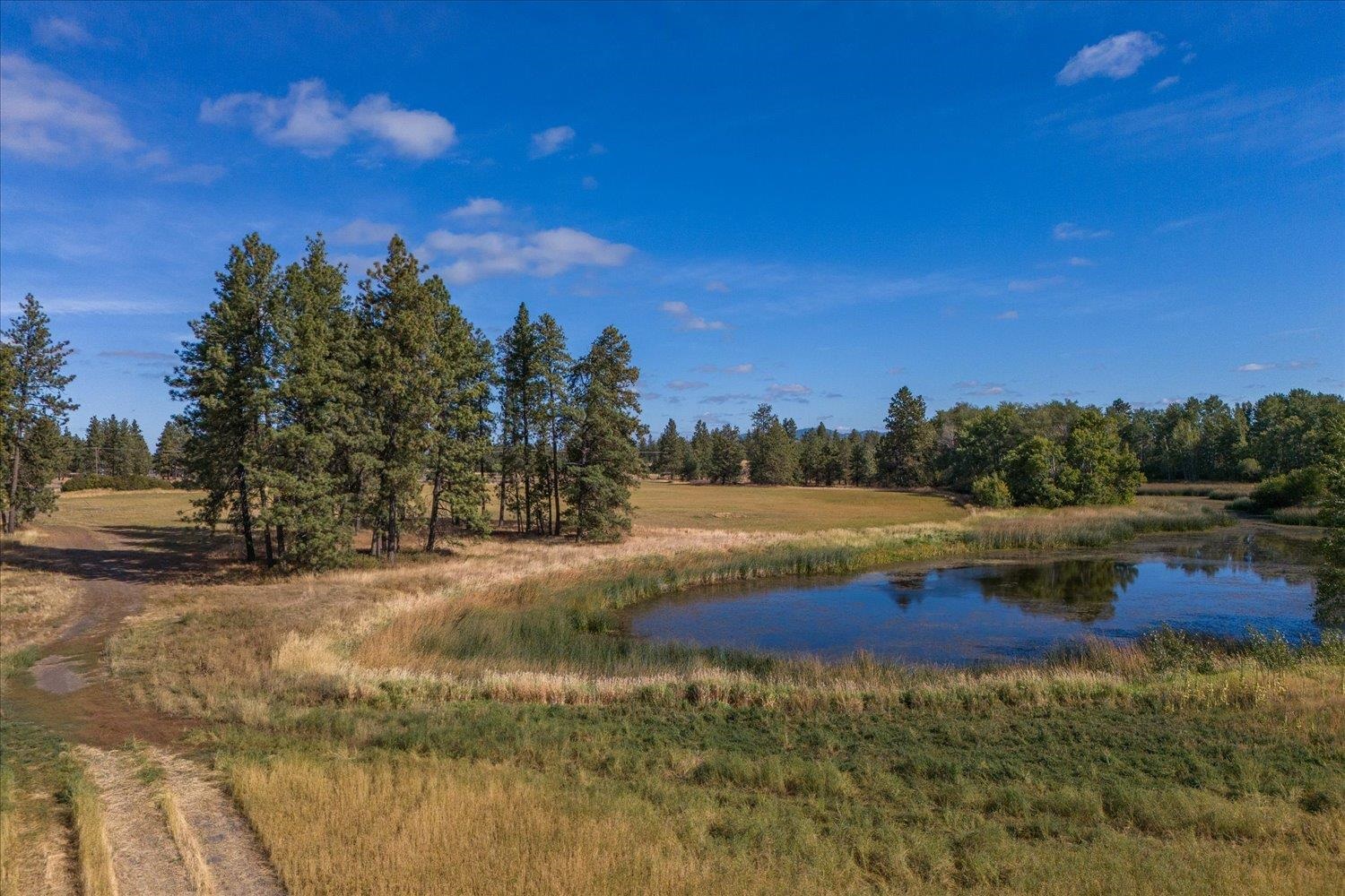 102 E Cameron Rd, Spangle, Washington, 99031, United States, ,Residential,For Sale,102 E Cameron Rd,1404590