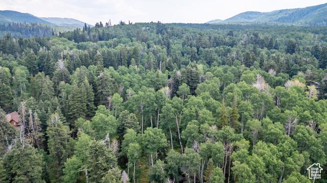 Heber City, Utah, 84032, United States, 2 Bedrooms Bedrooms, ,1 BathroomBathrooms,Residential,For Sale,1915500