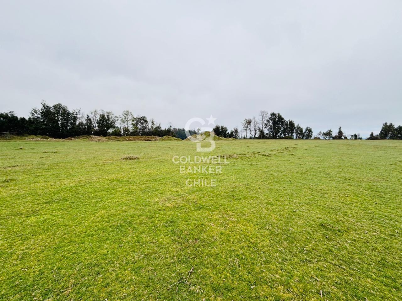 Futrono, Chile, ,Residential,For Sale,1934397